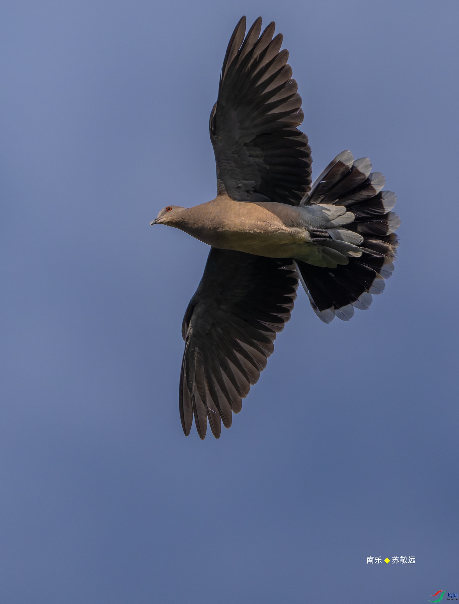 20250413-_DSC5091С.jpg