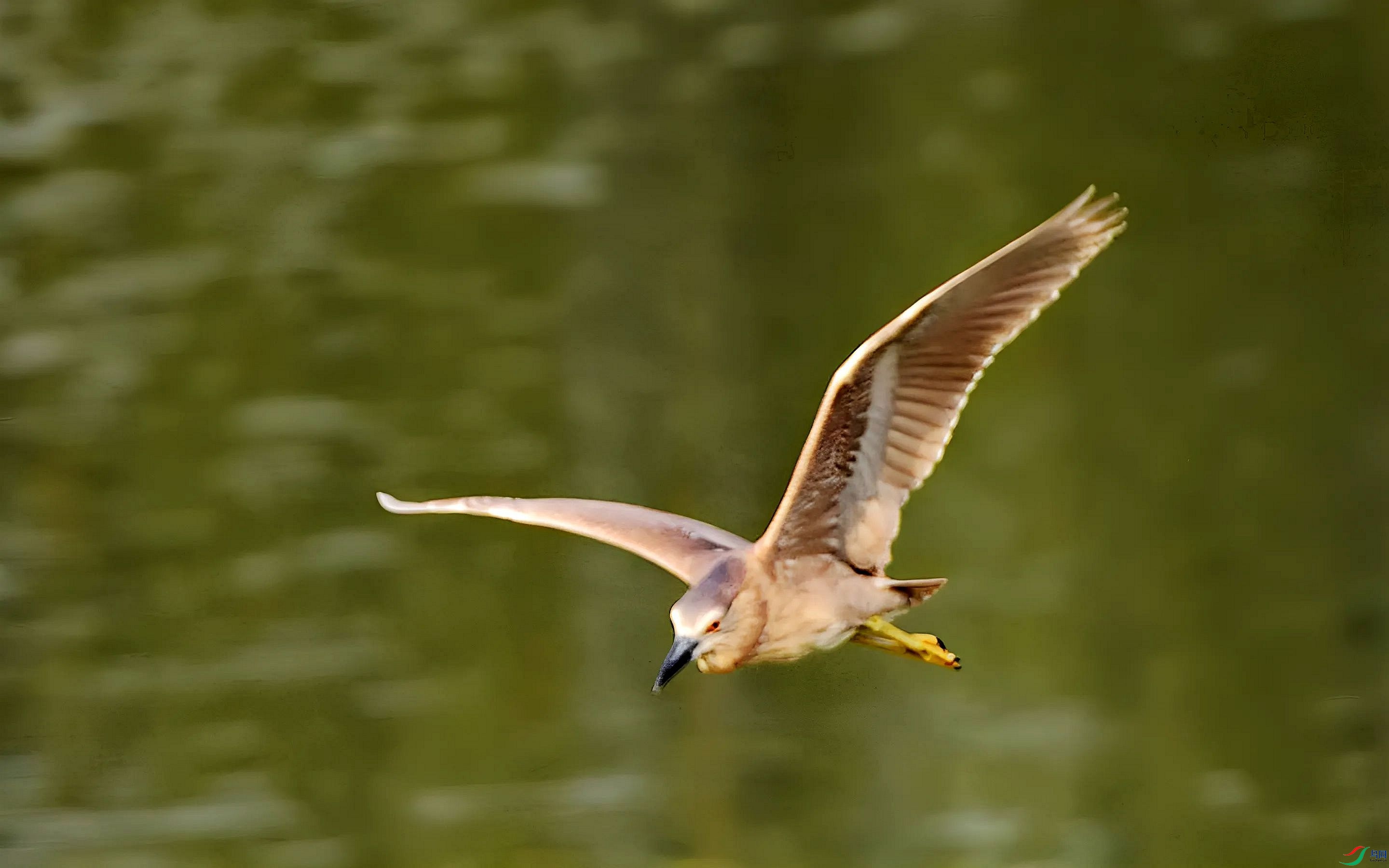 811 (68b)_����_����_����_����_����.jpg