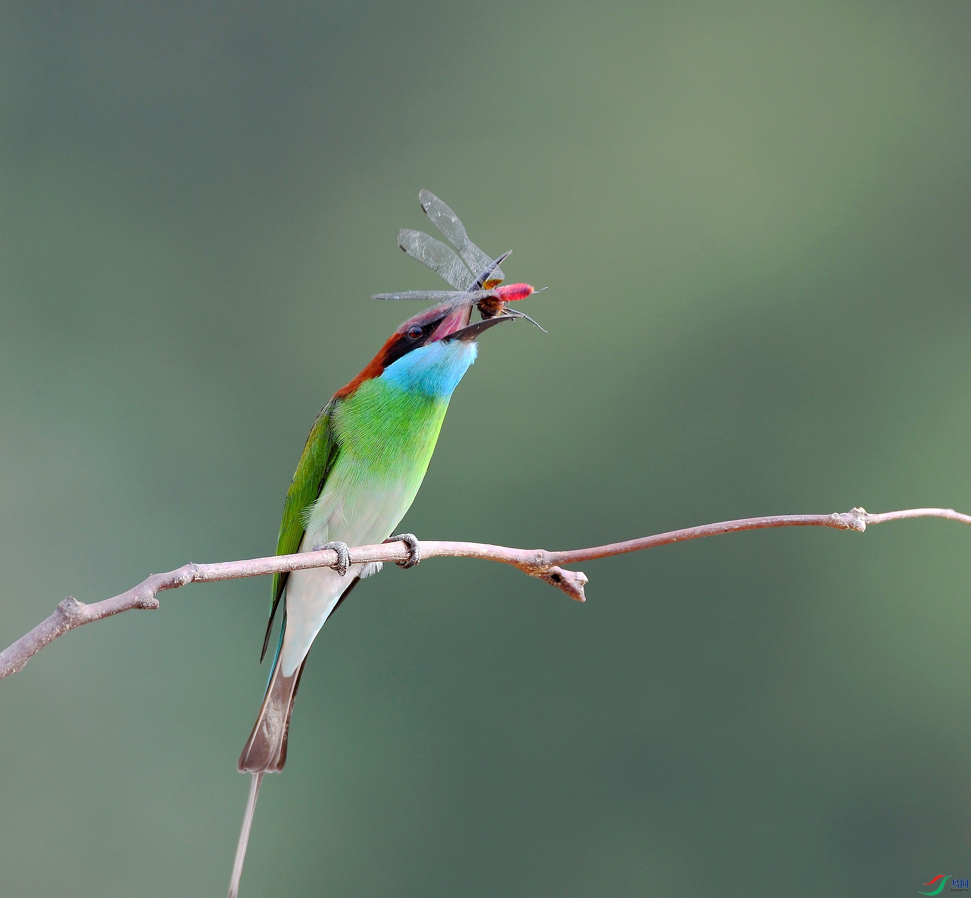 DSC_2165.jpg