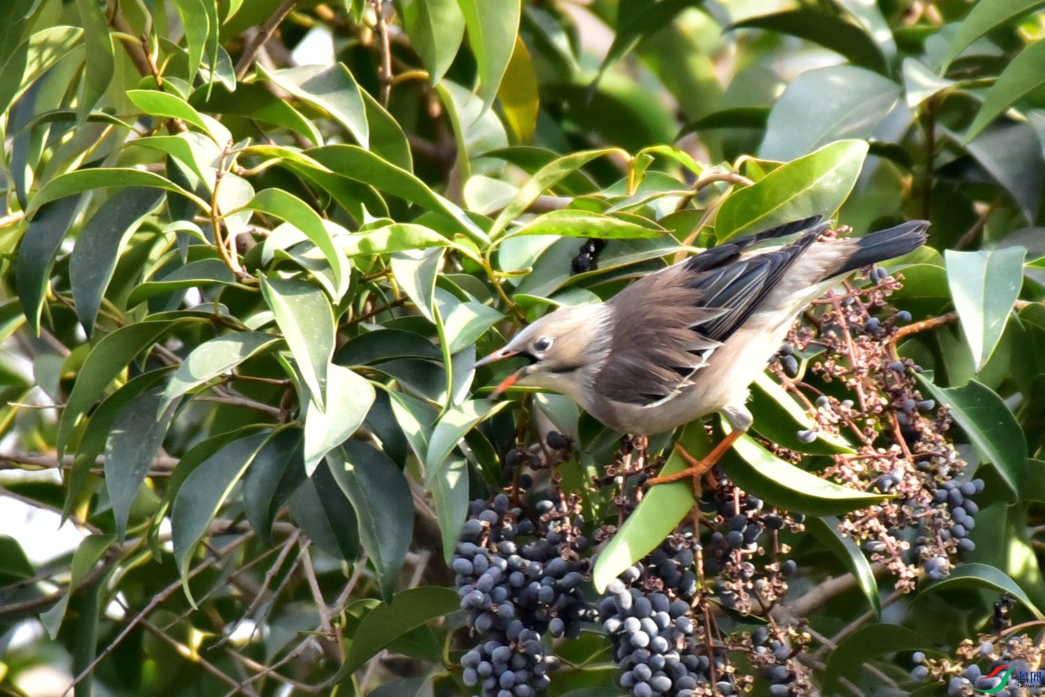 DSC_9772.JPG