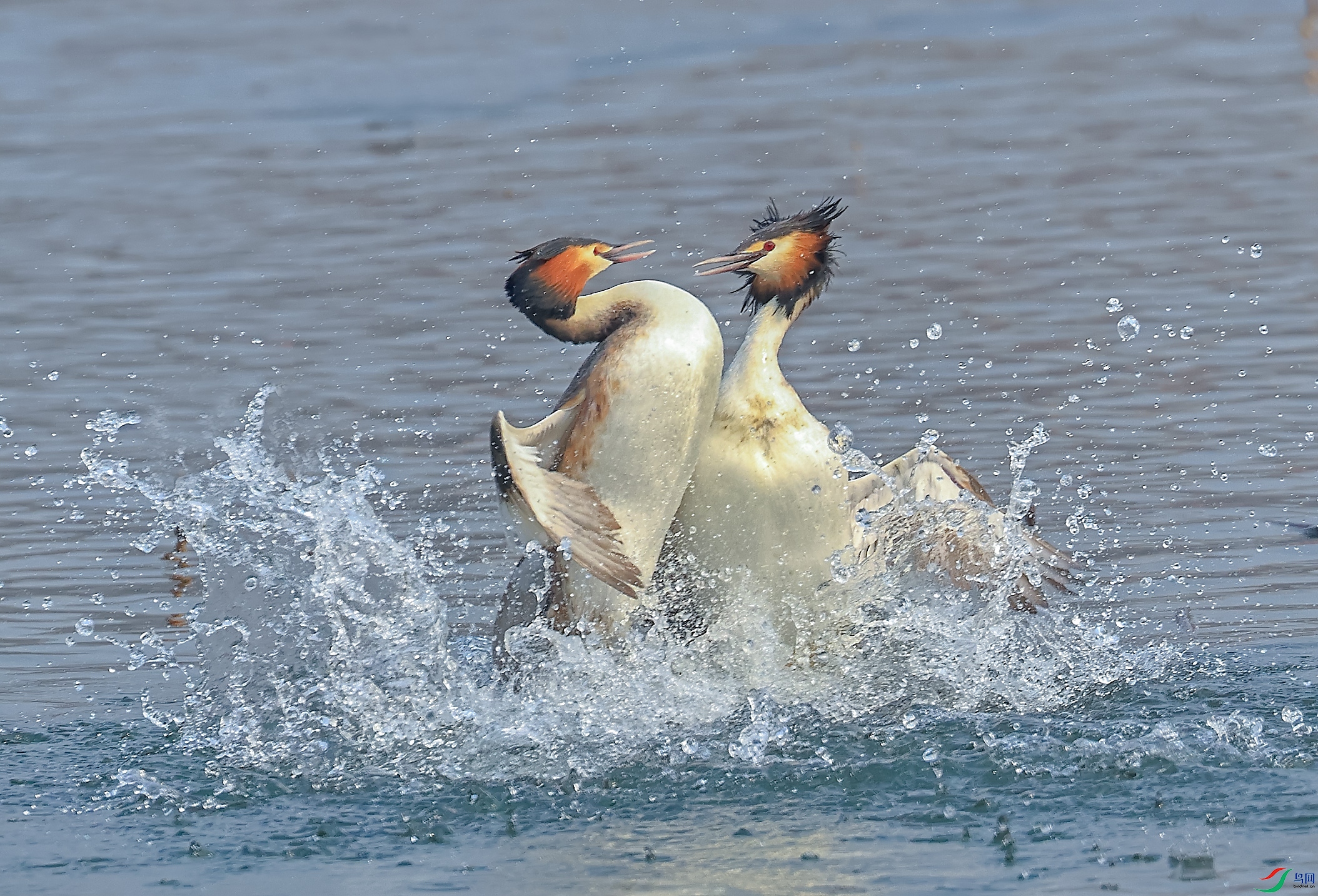 L10A1167 ����.jpg