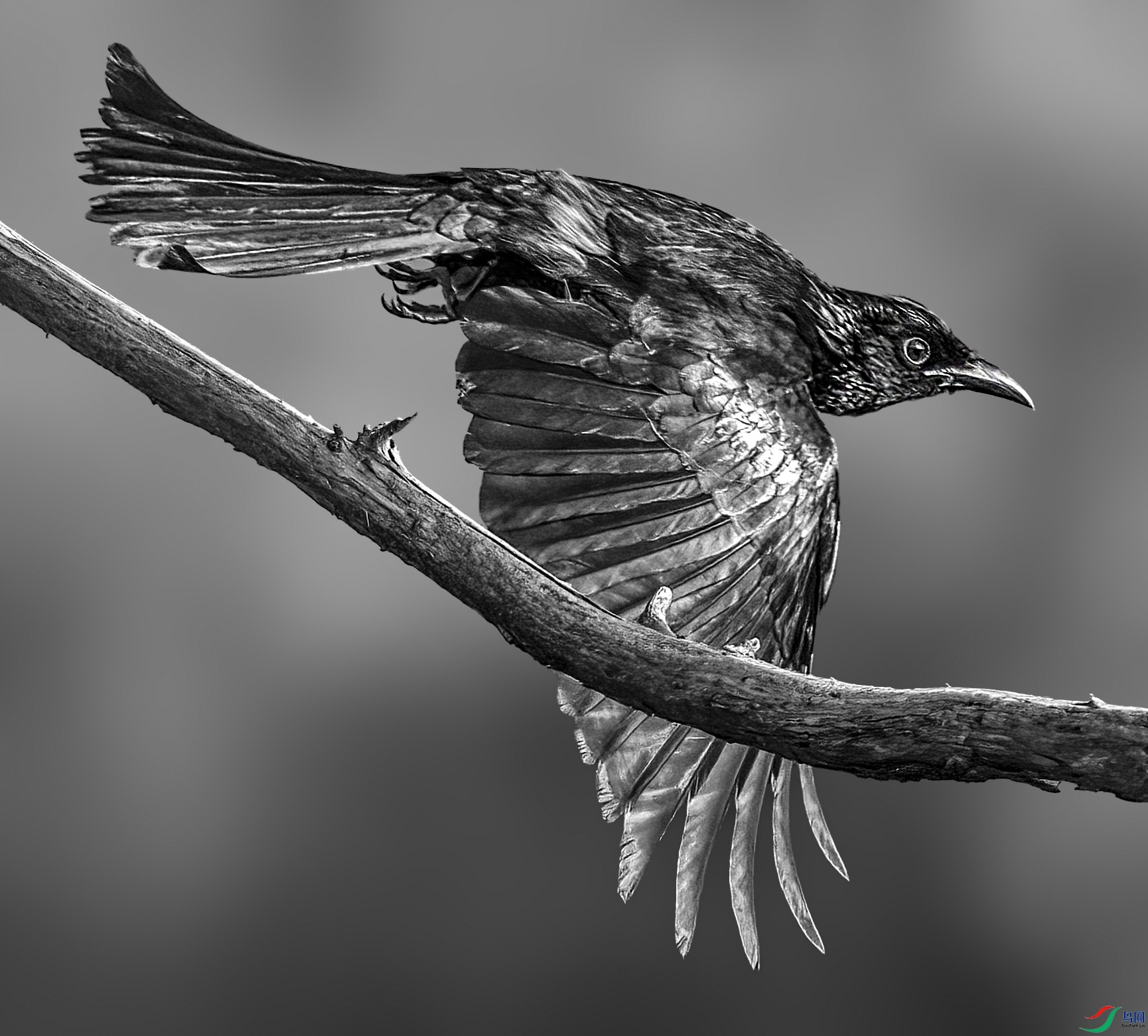 DSC_5046.jpg