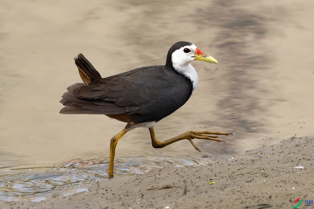 DSC_3656--.jpg