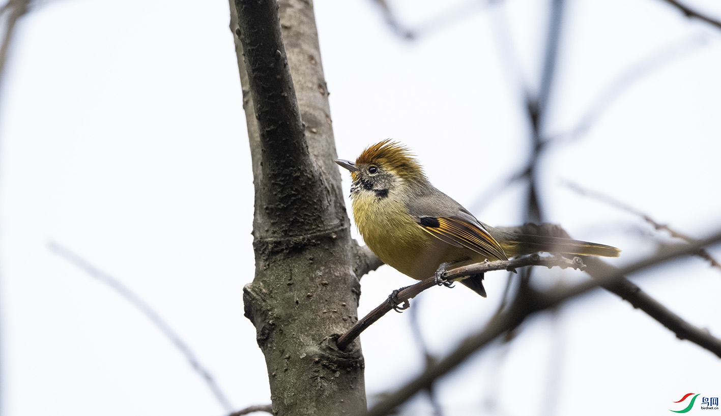 DSC_0379 ����.jpg