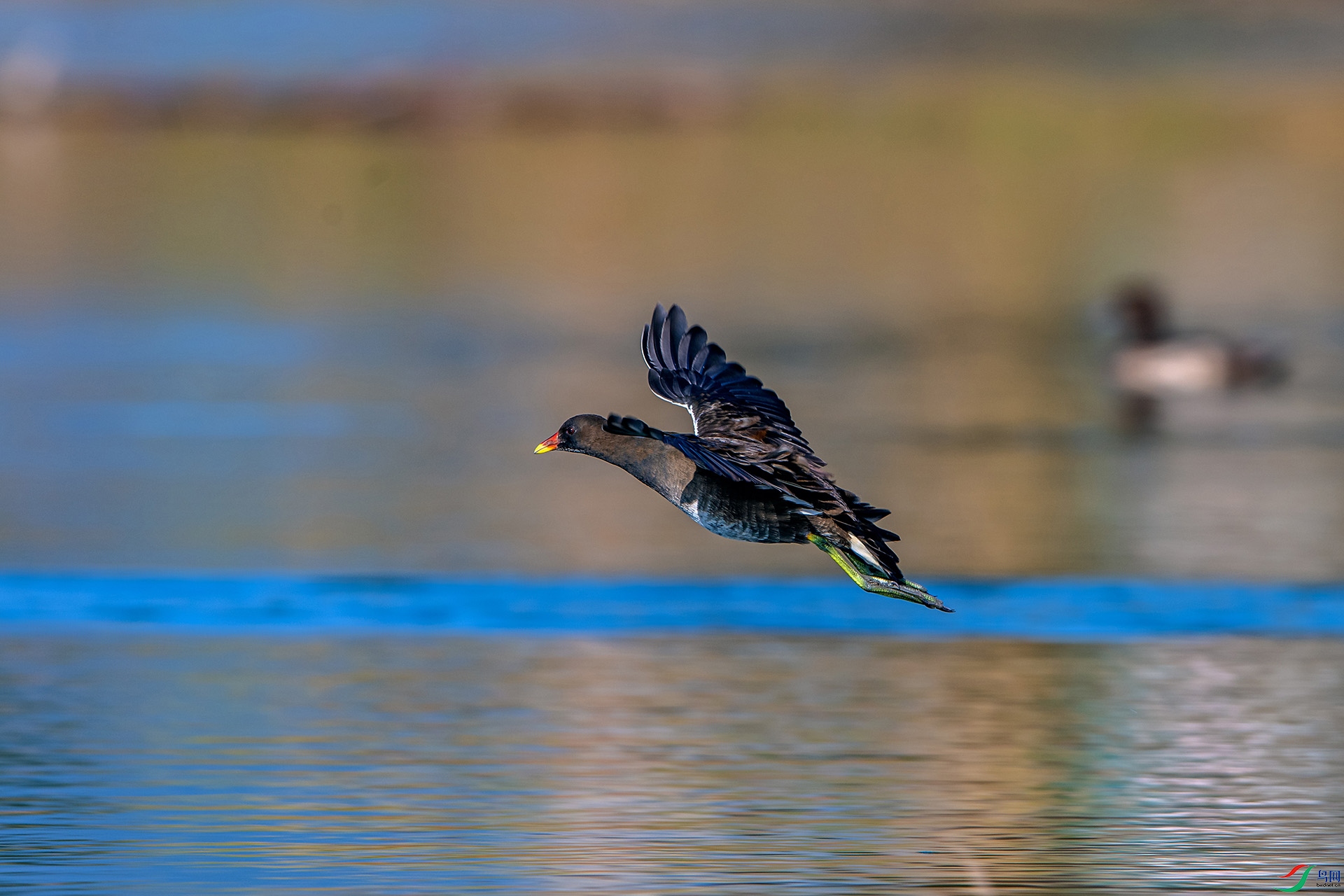 _AUU3894��ˮ��(25.1.7).jpg
