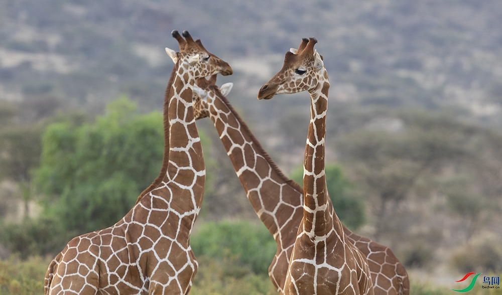 ����¹ (52).jpg