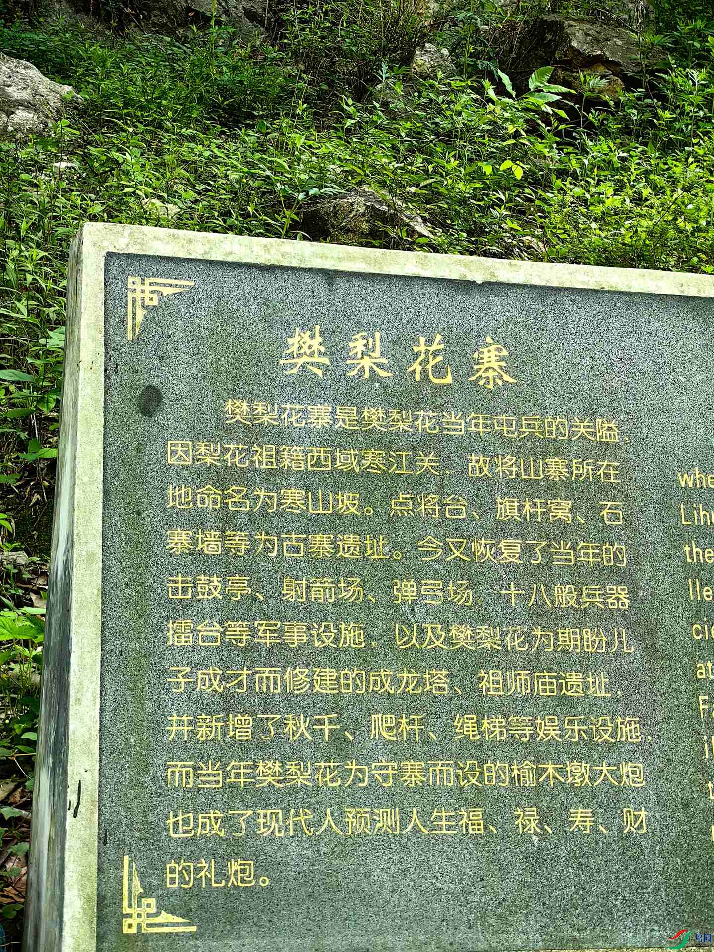 IMG_20240421_101331_����.jpg