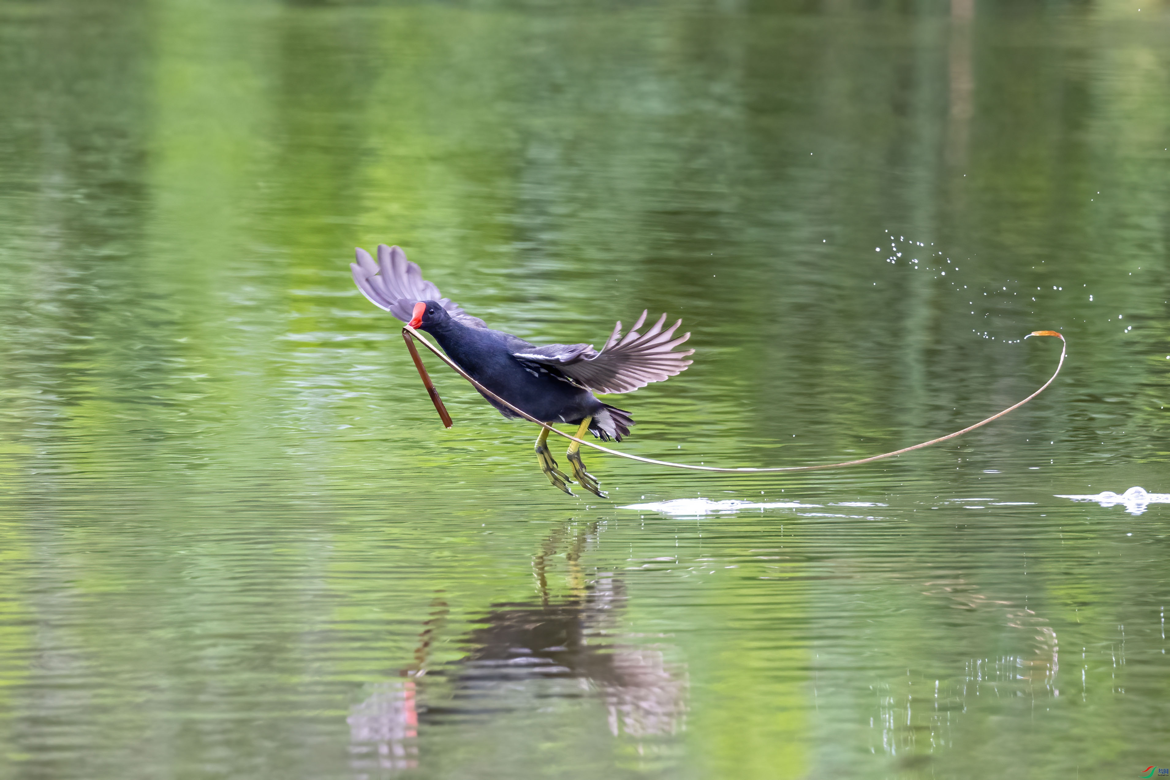 _MG_6280.jpg
