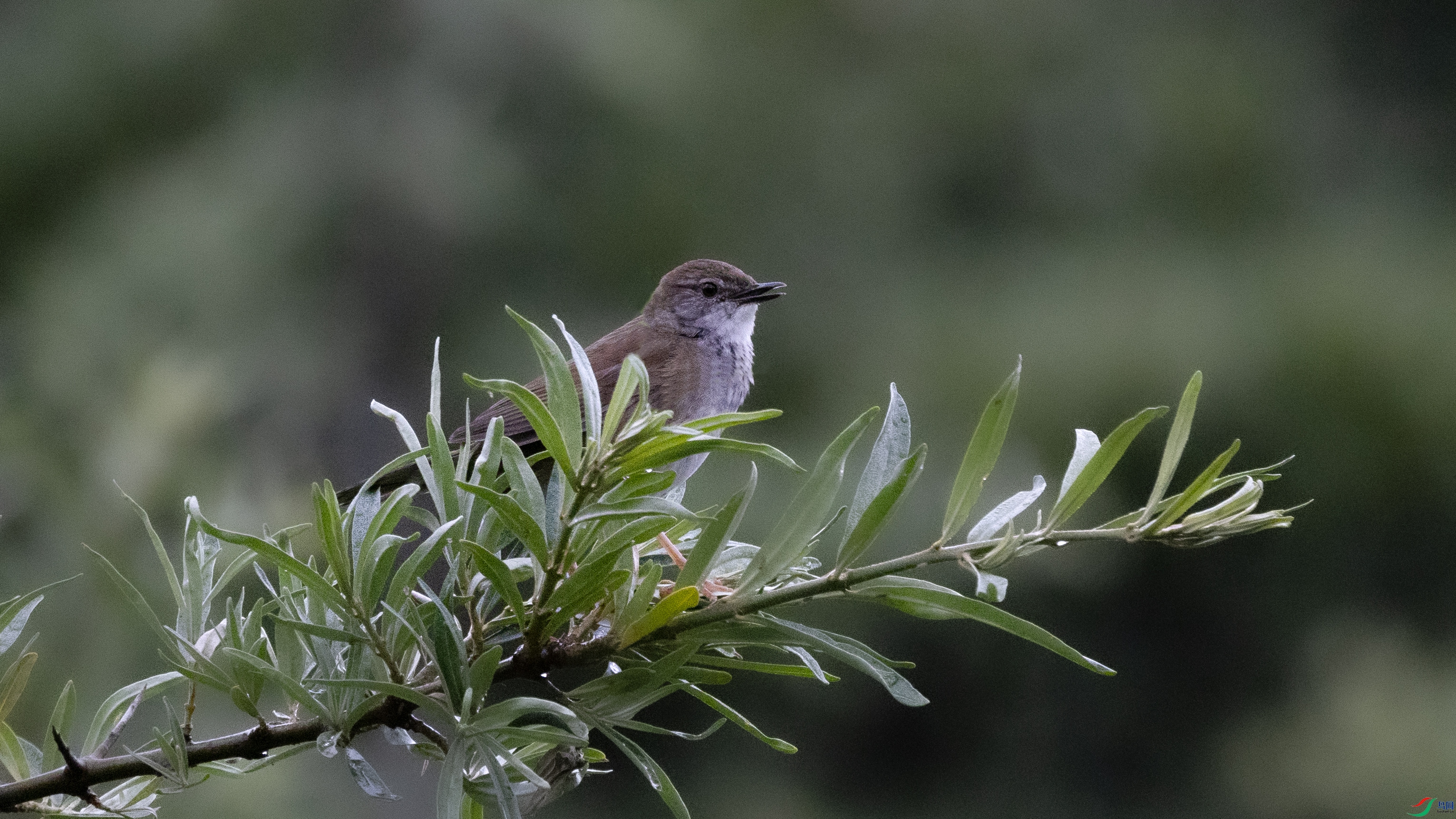 7X5A0037 ����.jpg