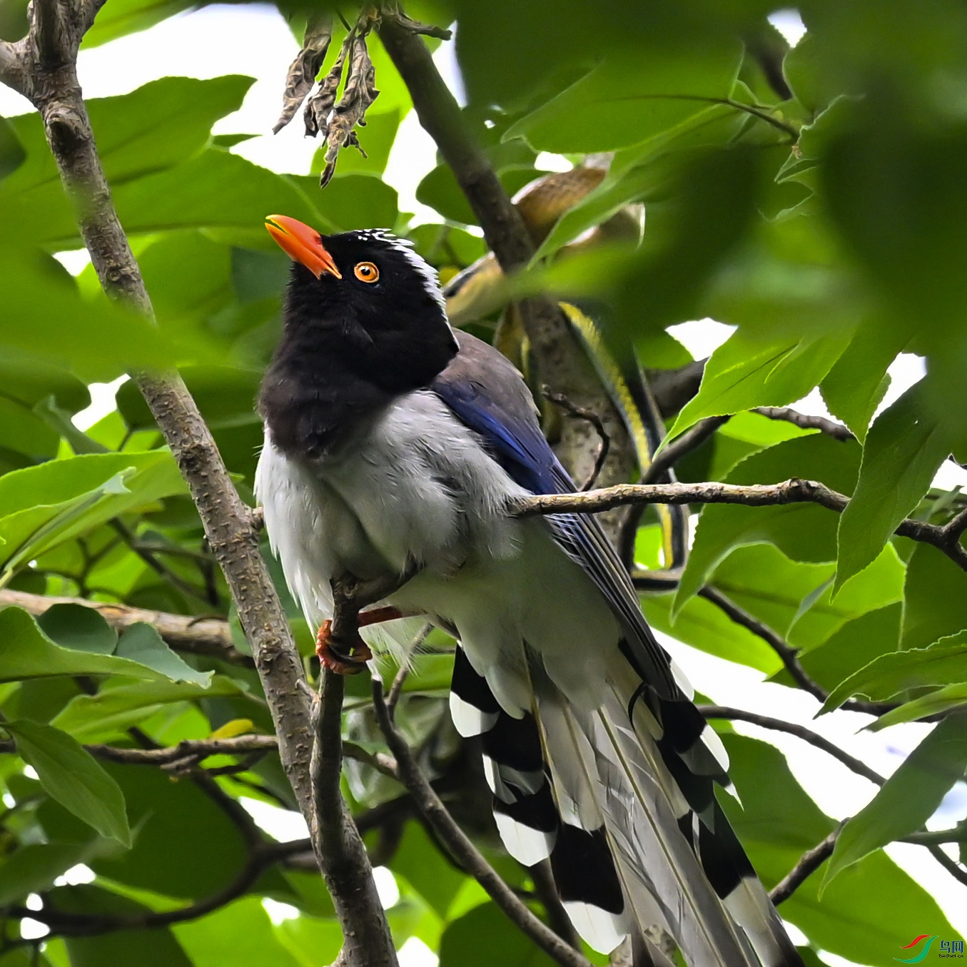 DSC_7667.jpg