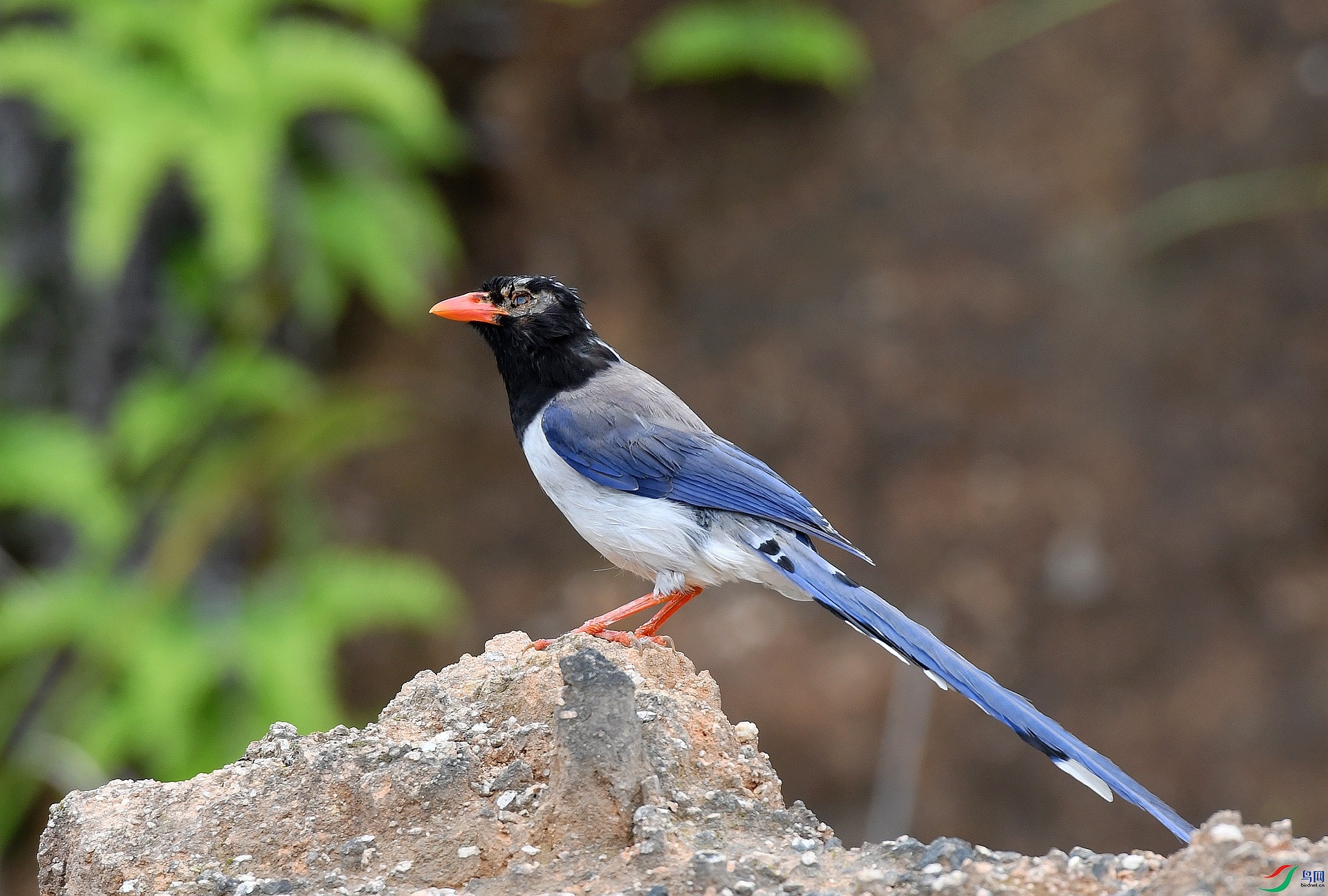 DSC_5727.jpg
