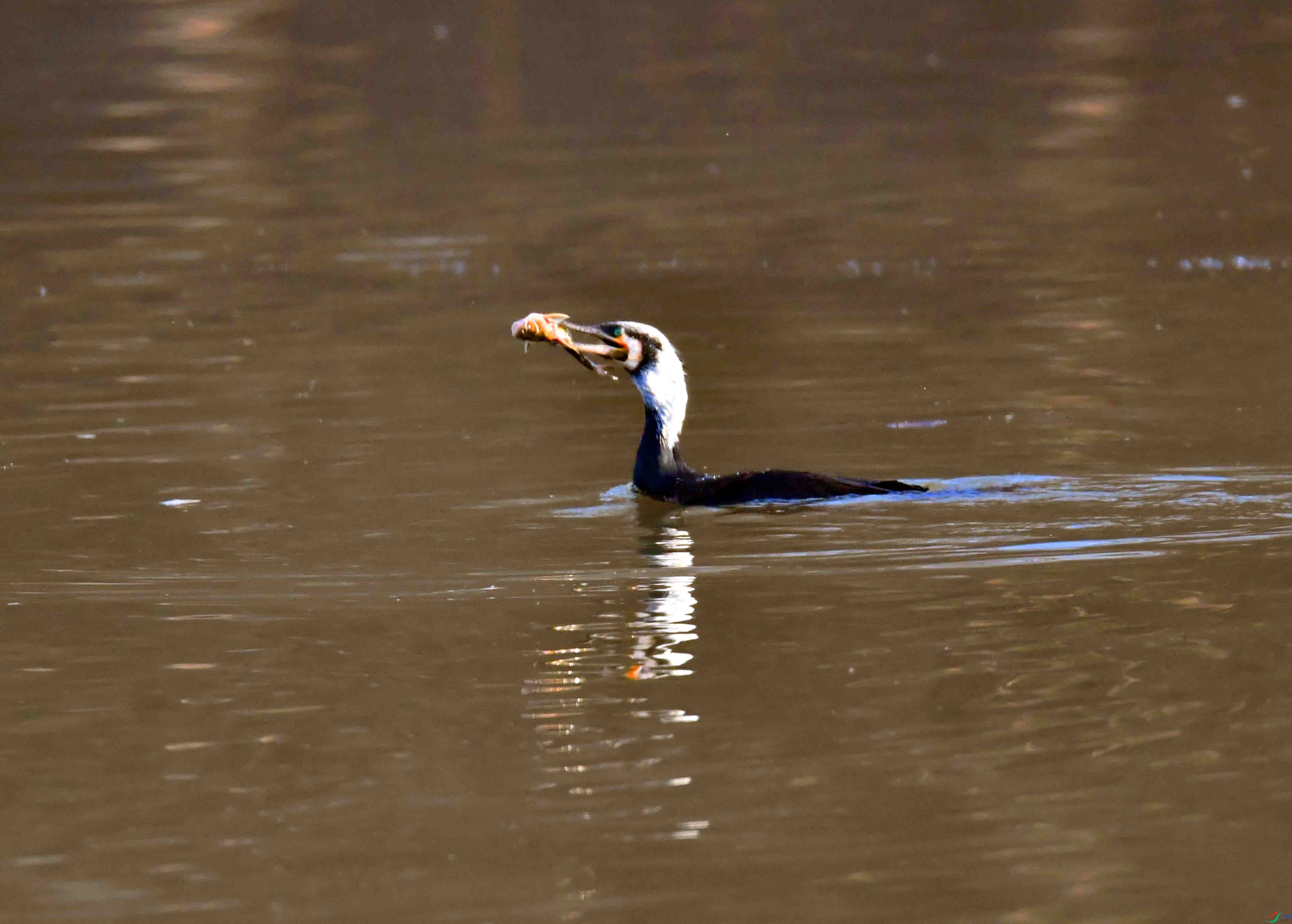 DSC_0001.JPG