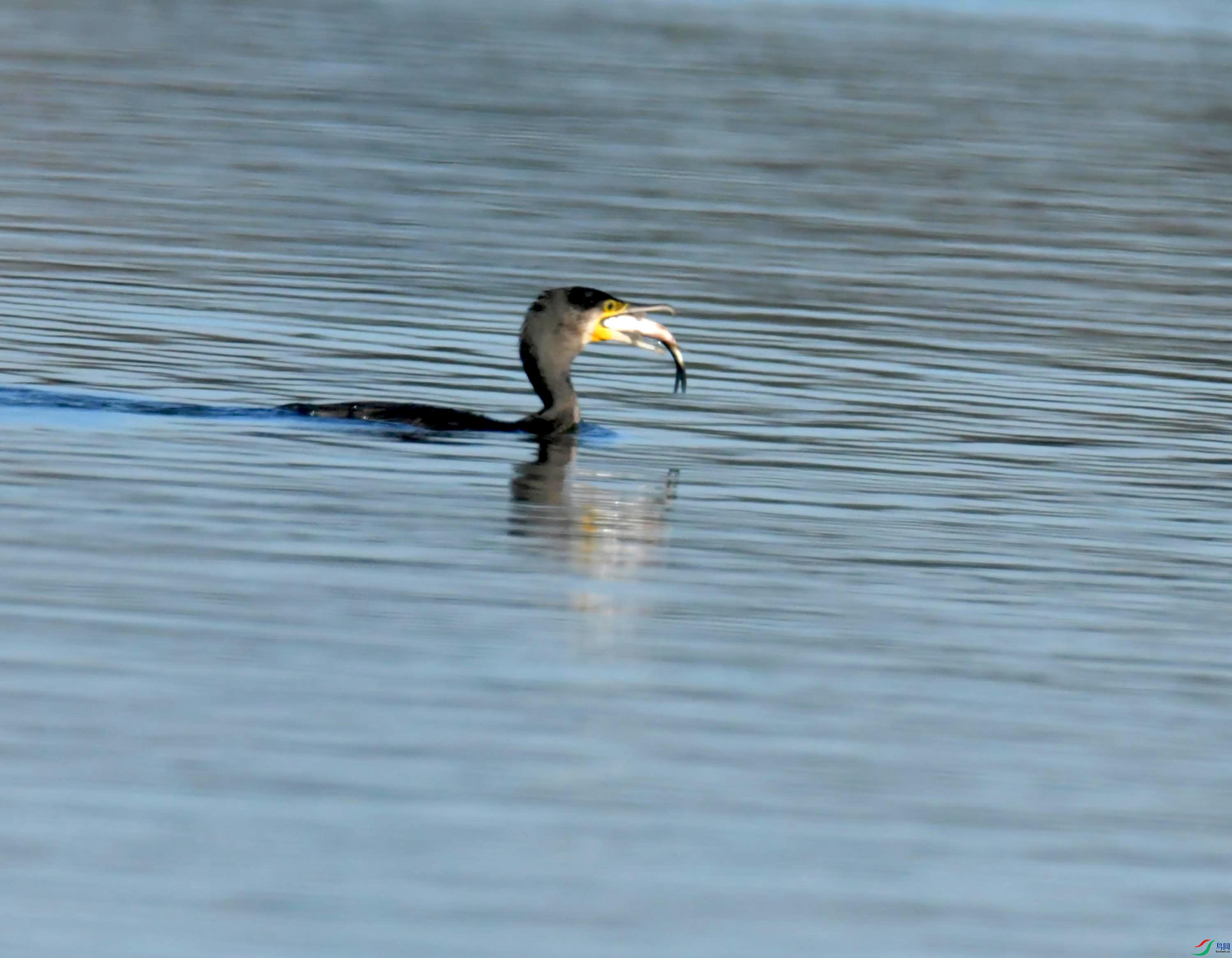 DSC_7152.JPG