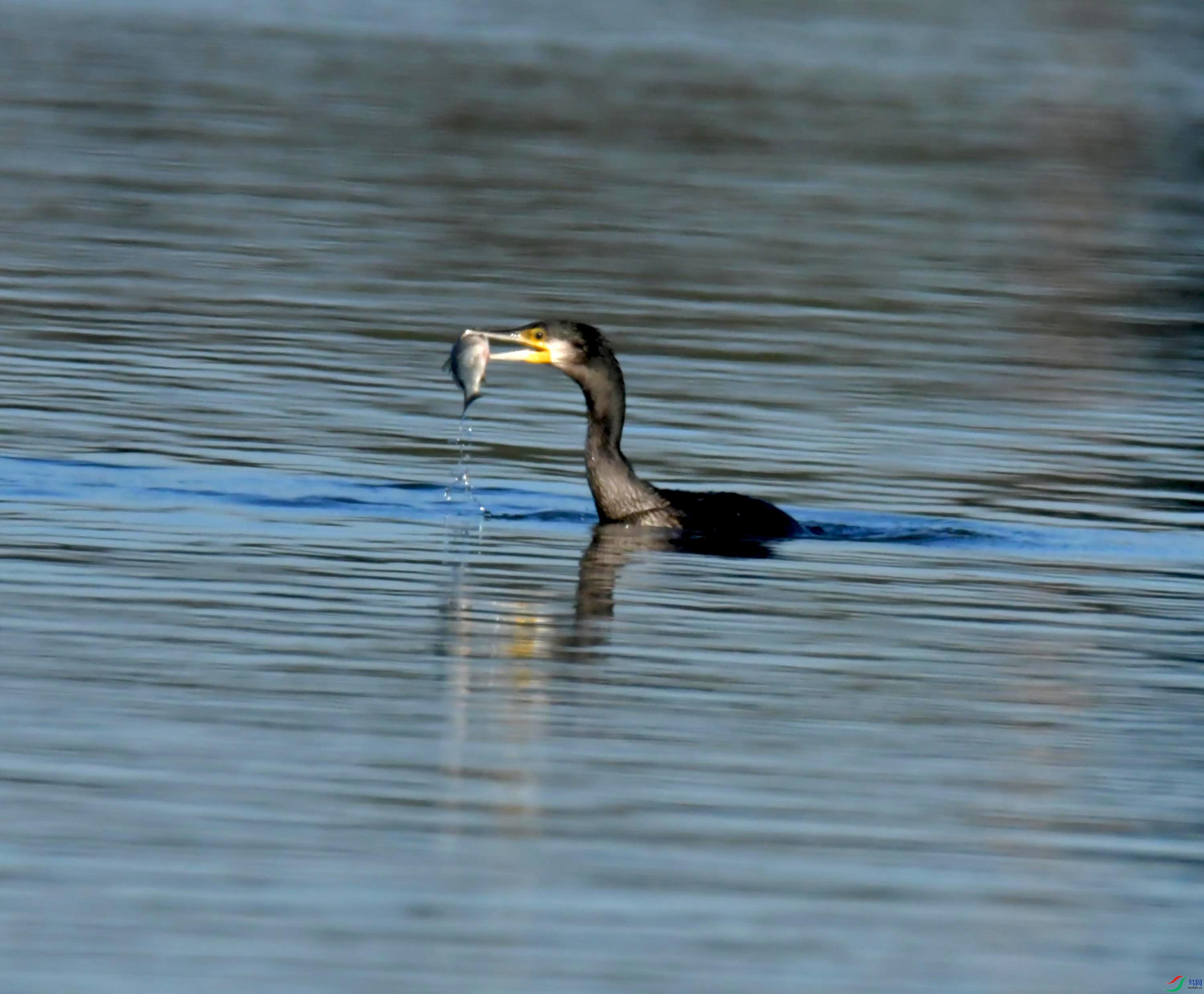 DSC_7167.JPG