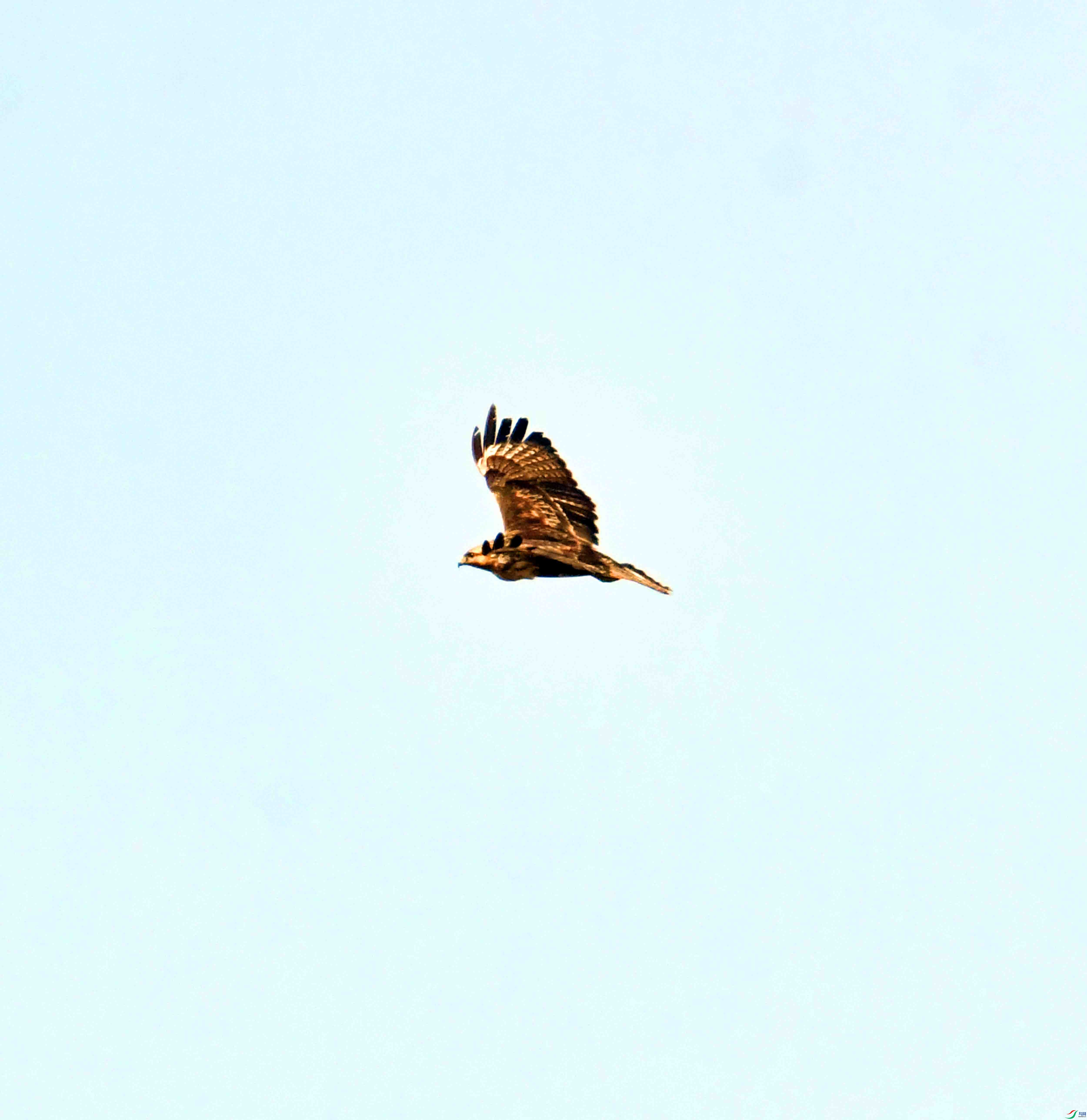 DSC_0743.JPG