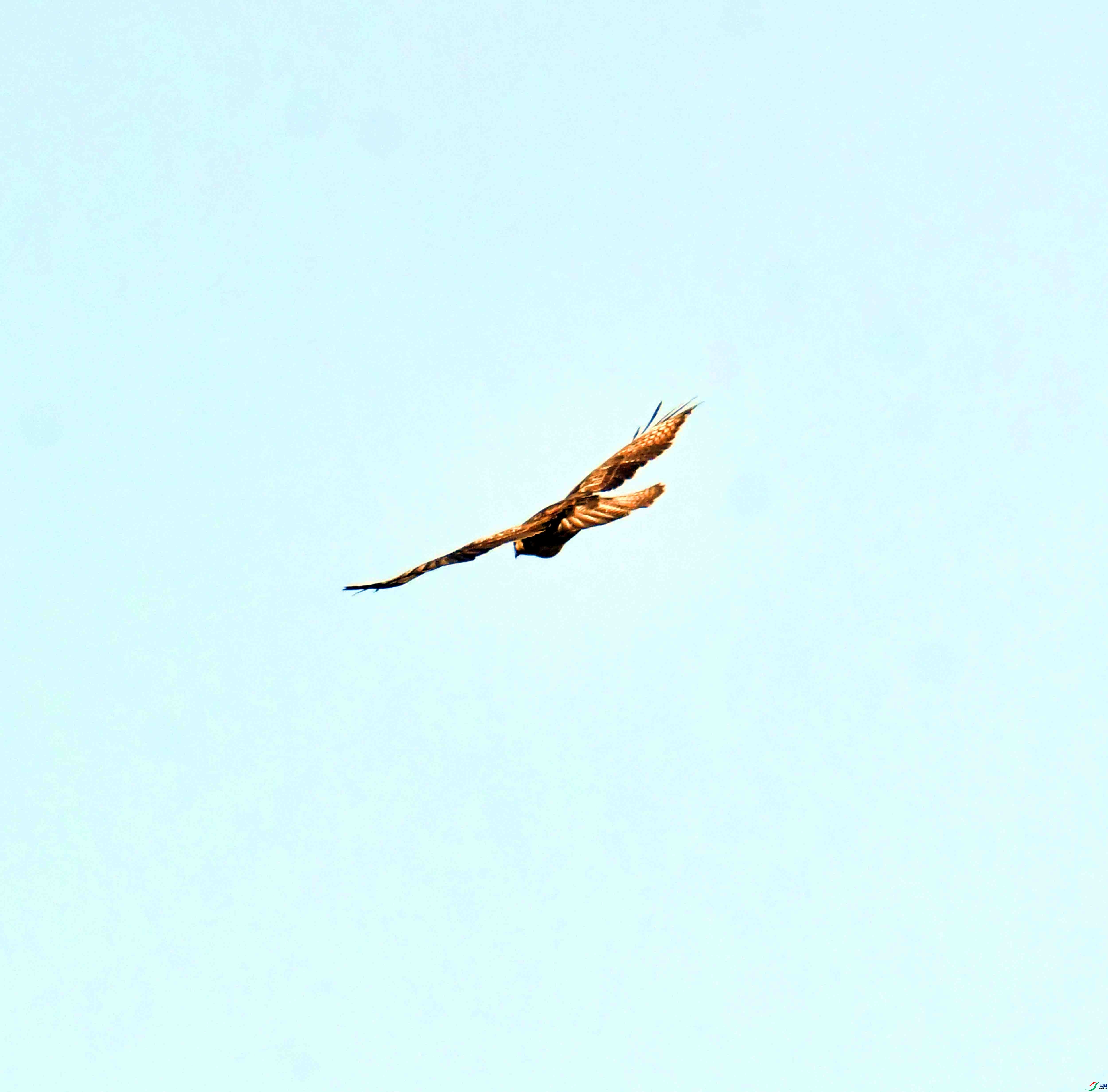 DSC_0741.JPG