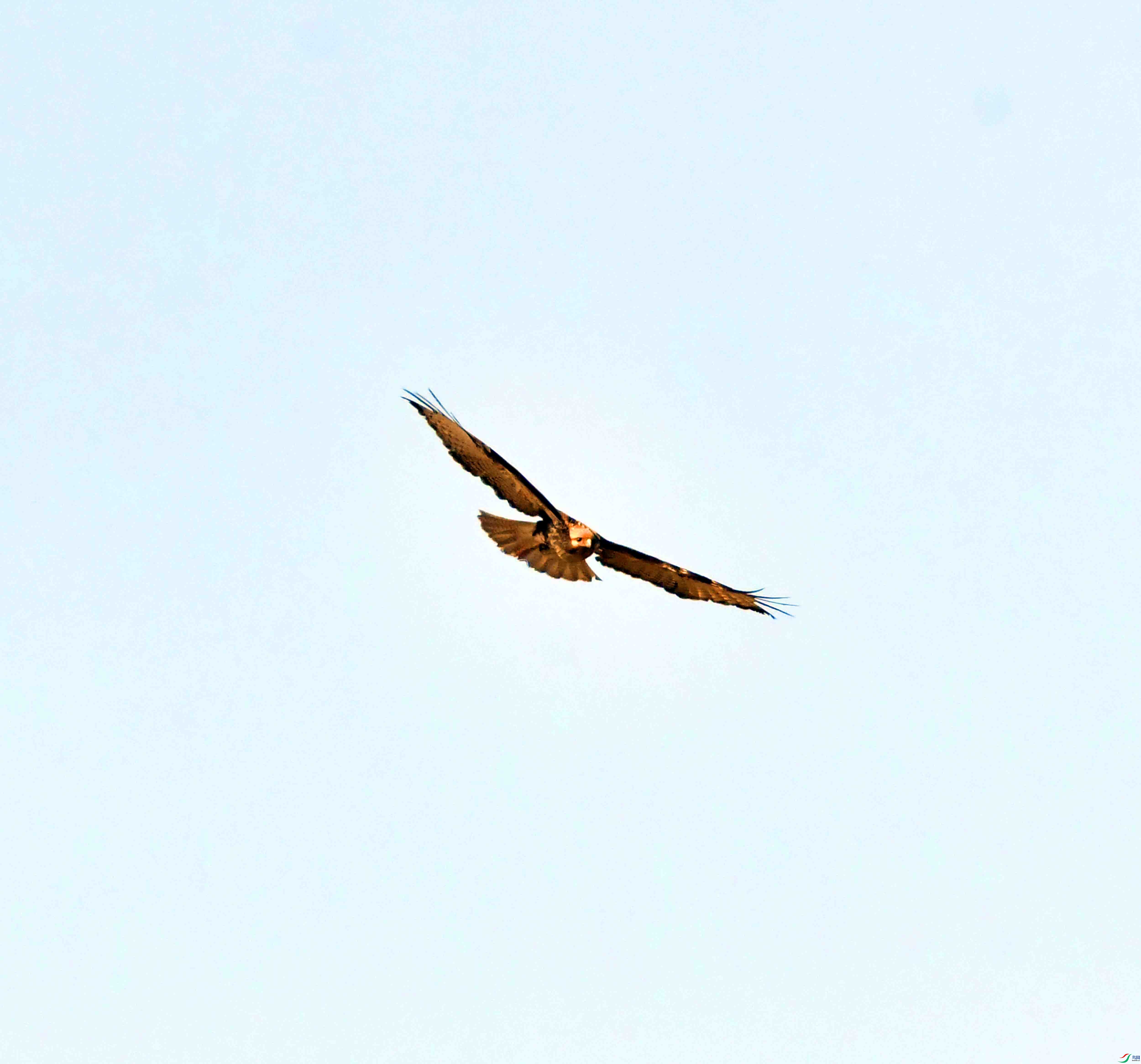 DSC_0748.JPG