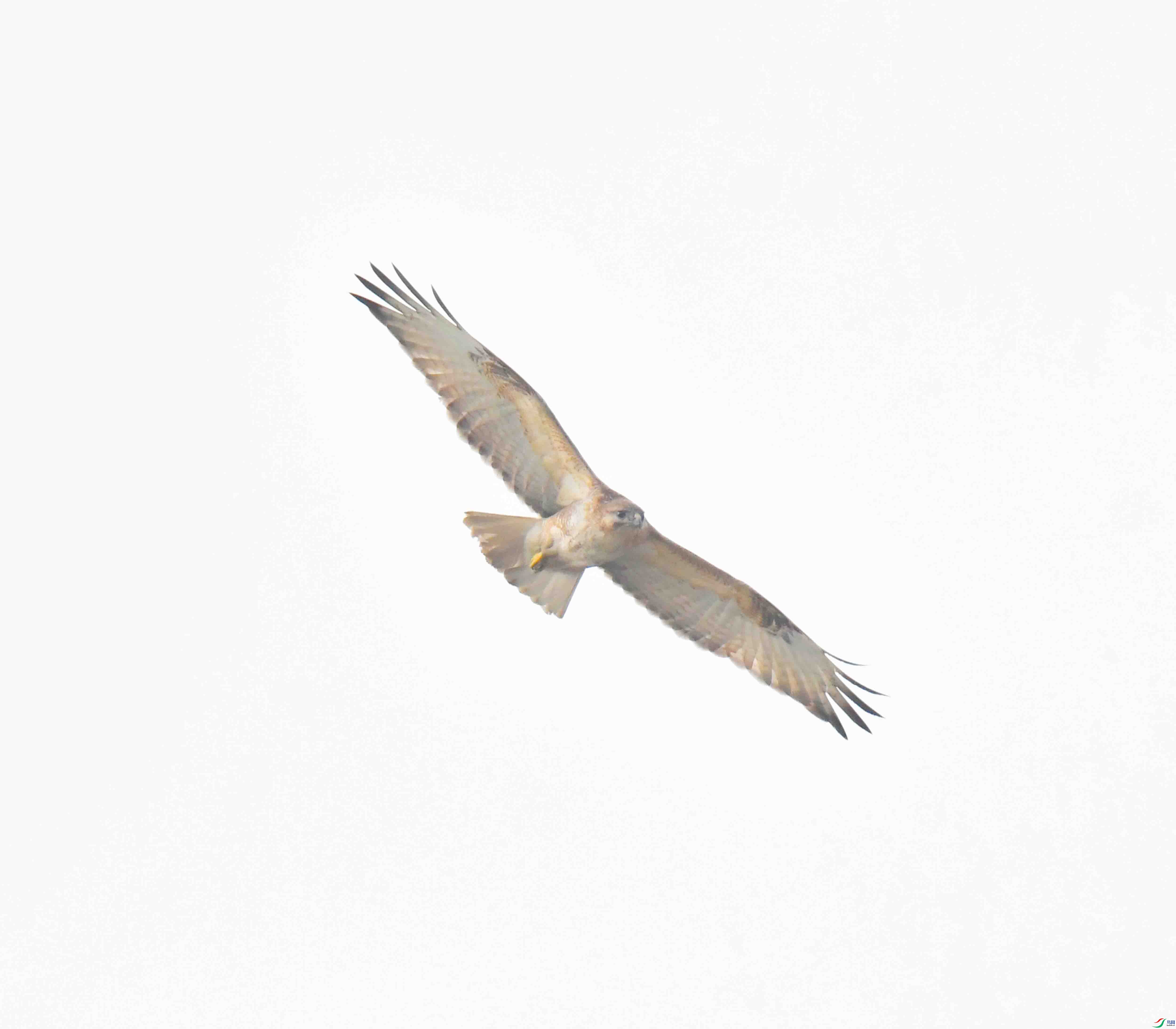 DSC_1348.JPG