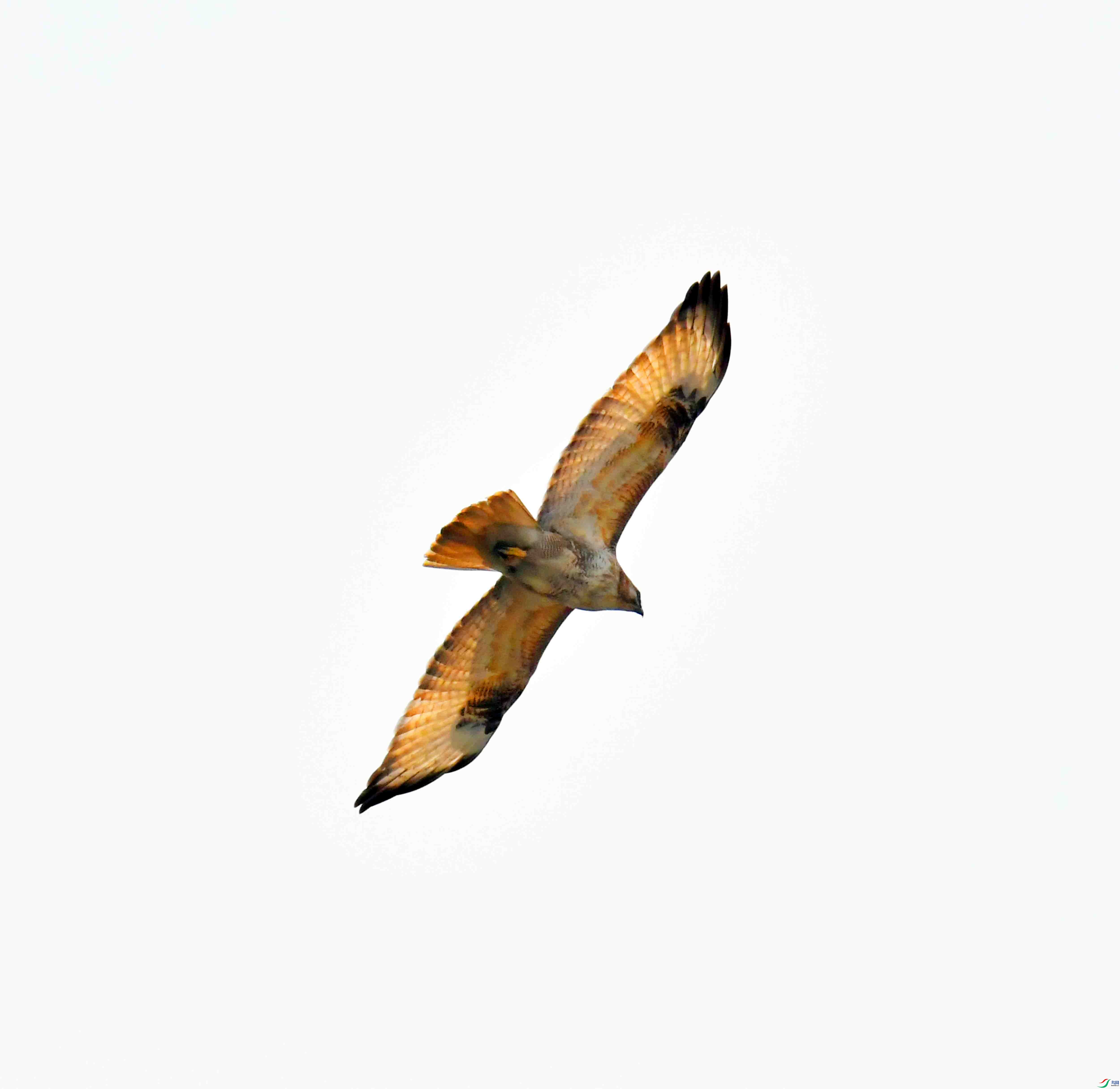 DSC_1374.JPG