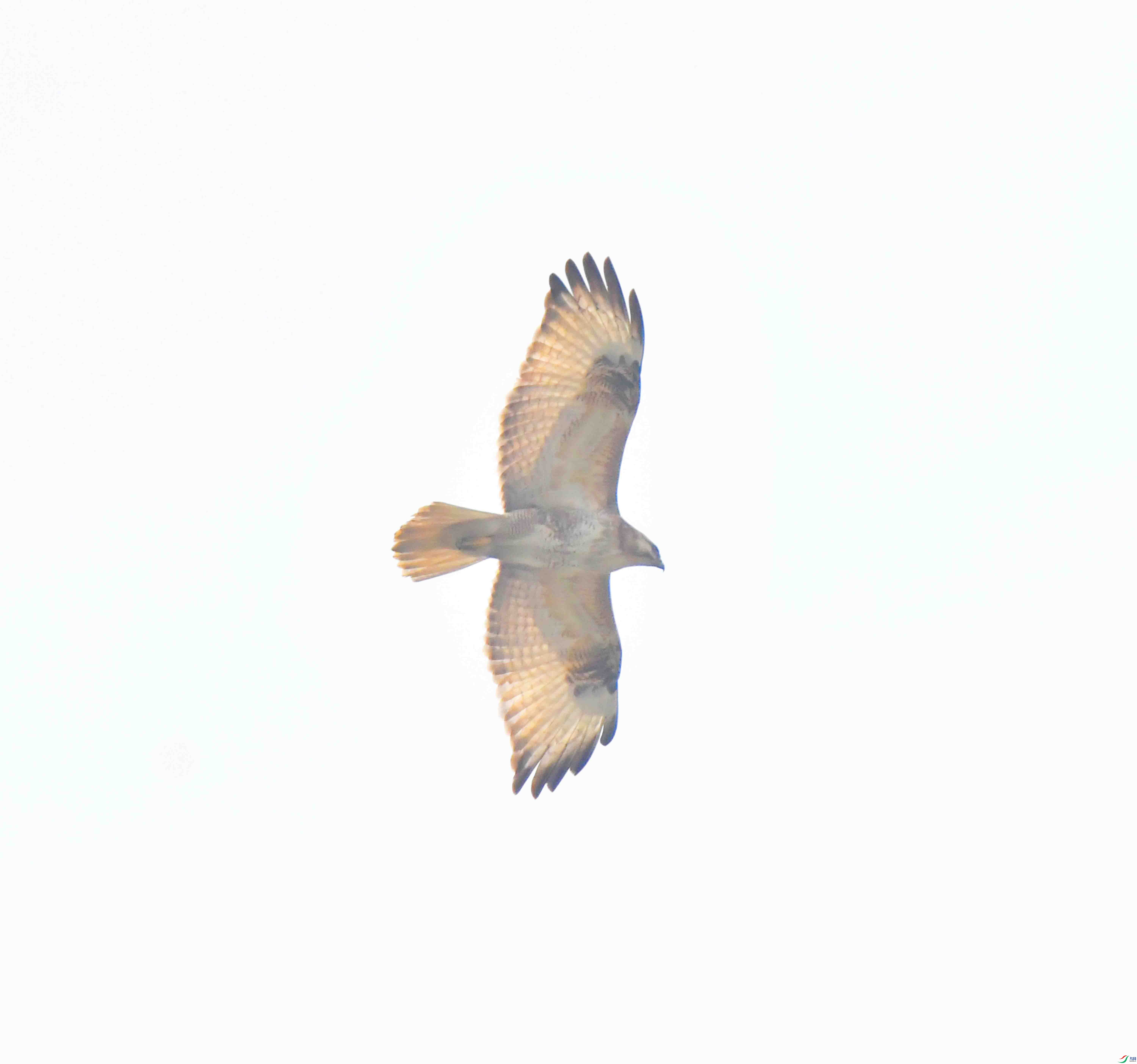 DSC_1397.JPG