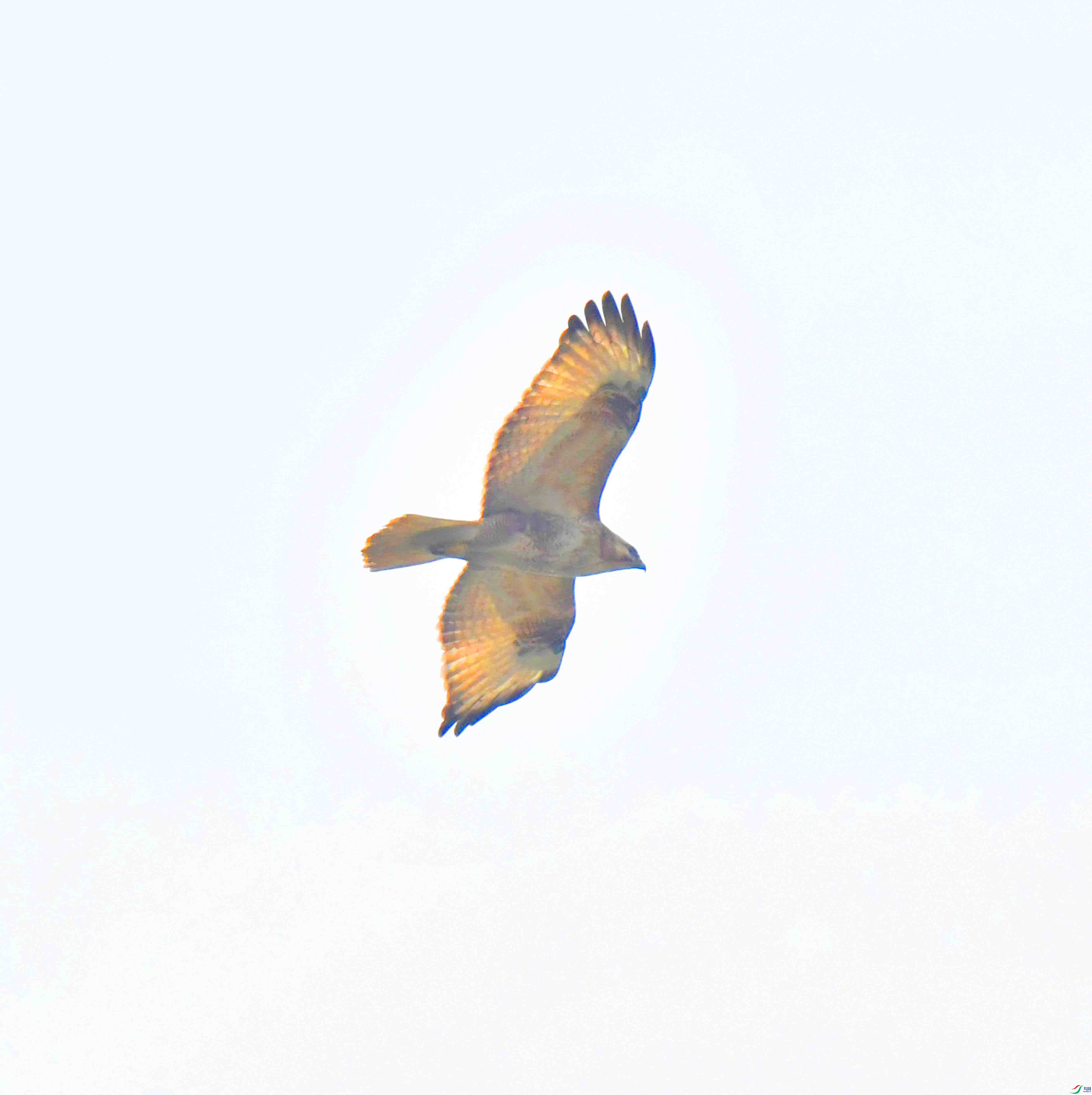 DSC_1398.JPG