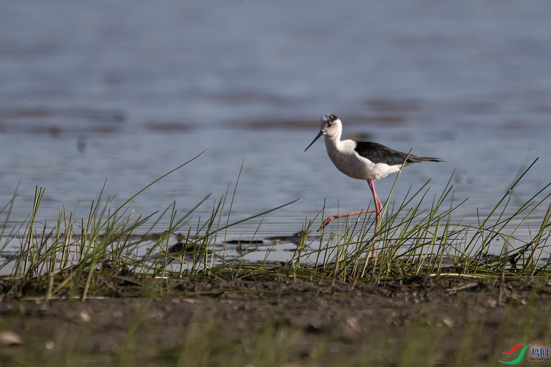 A63I5023 ����.jpg