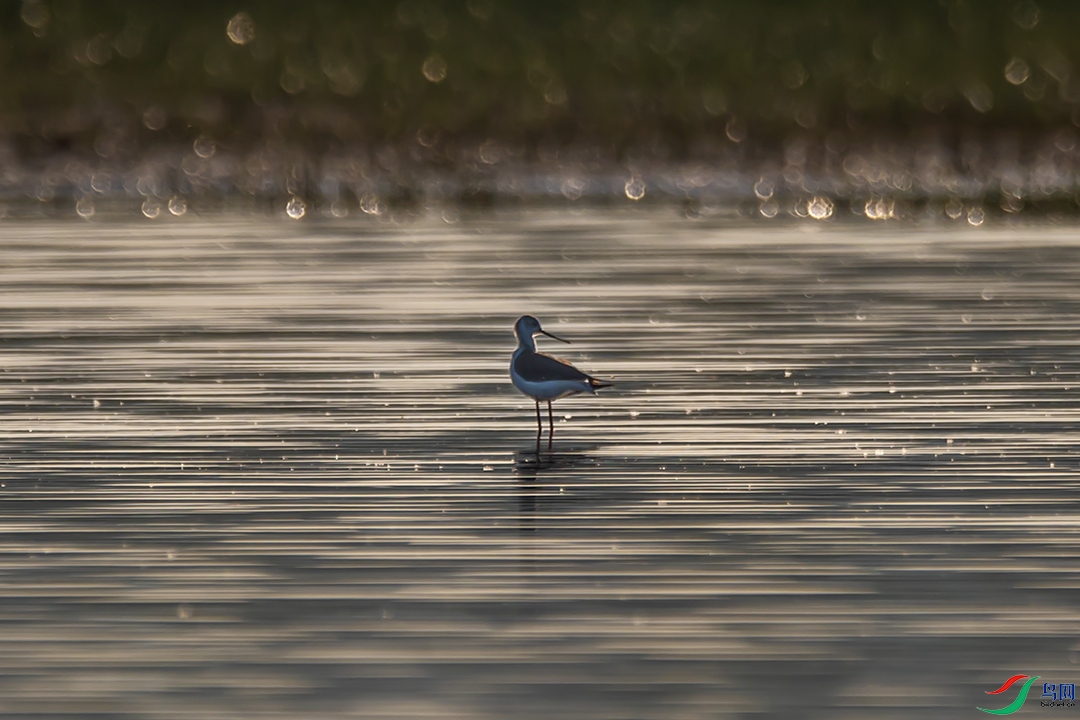 A63I3880 ����.jpg