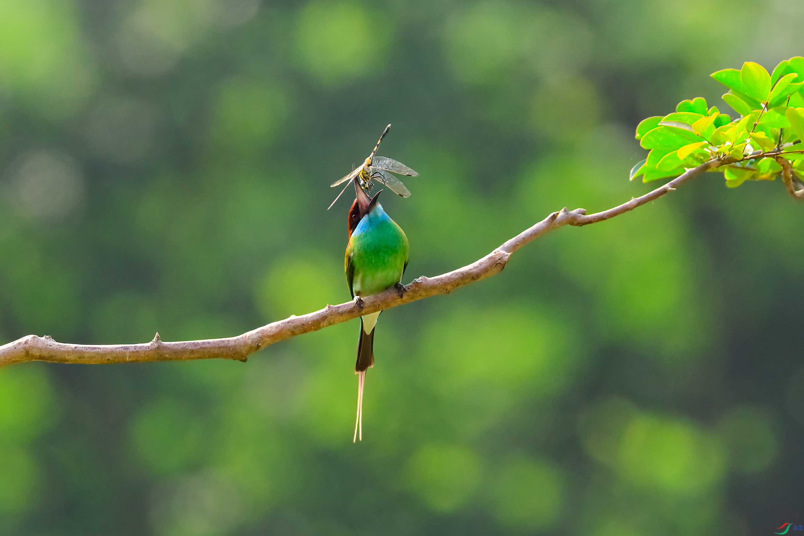 _DSC8677x.jpg