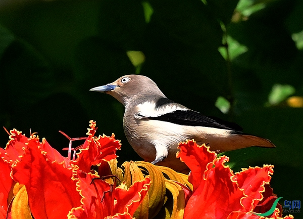 DSC_9542.JPG