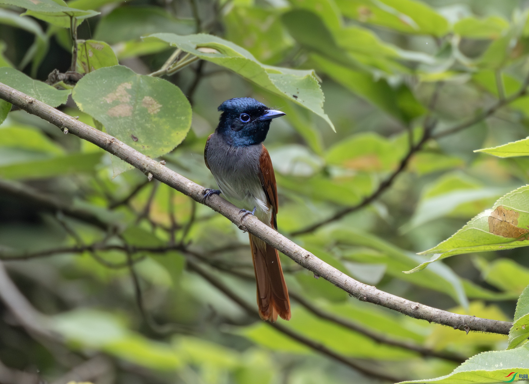 2I1A0882-����ǿ-NR ����.jpg