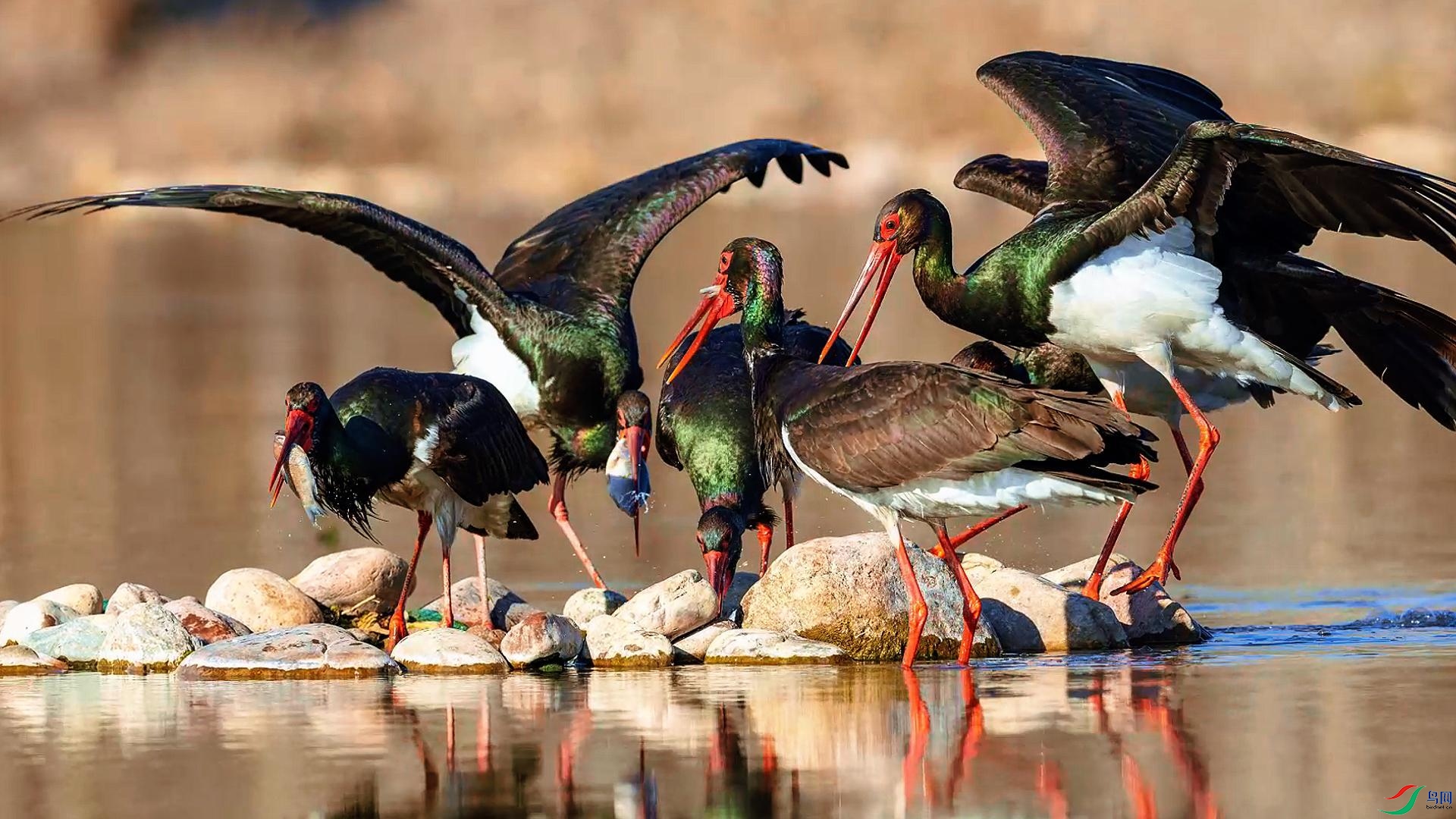 5��18�� (4)-����.jpg