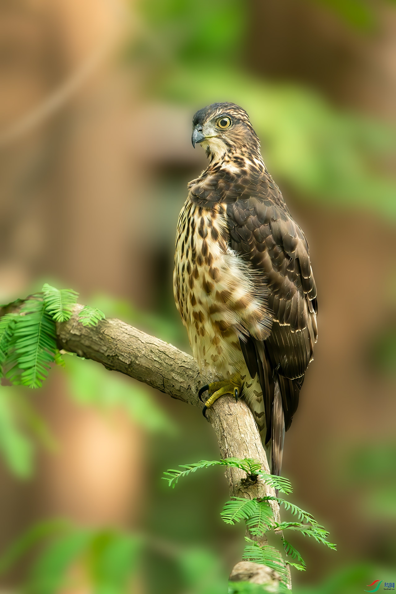 _DSC4207-.jpg