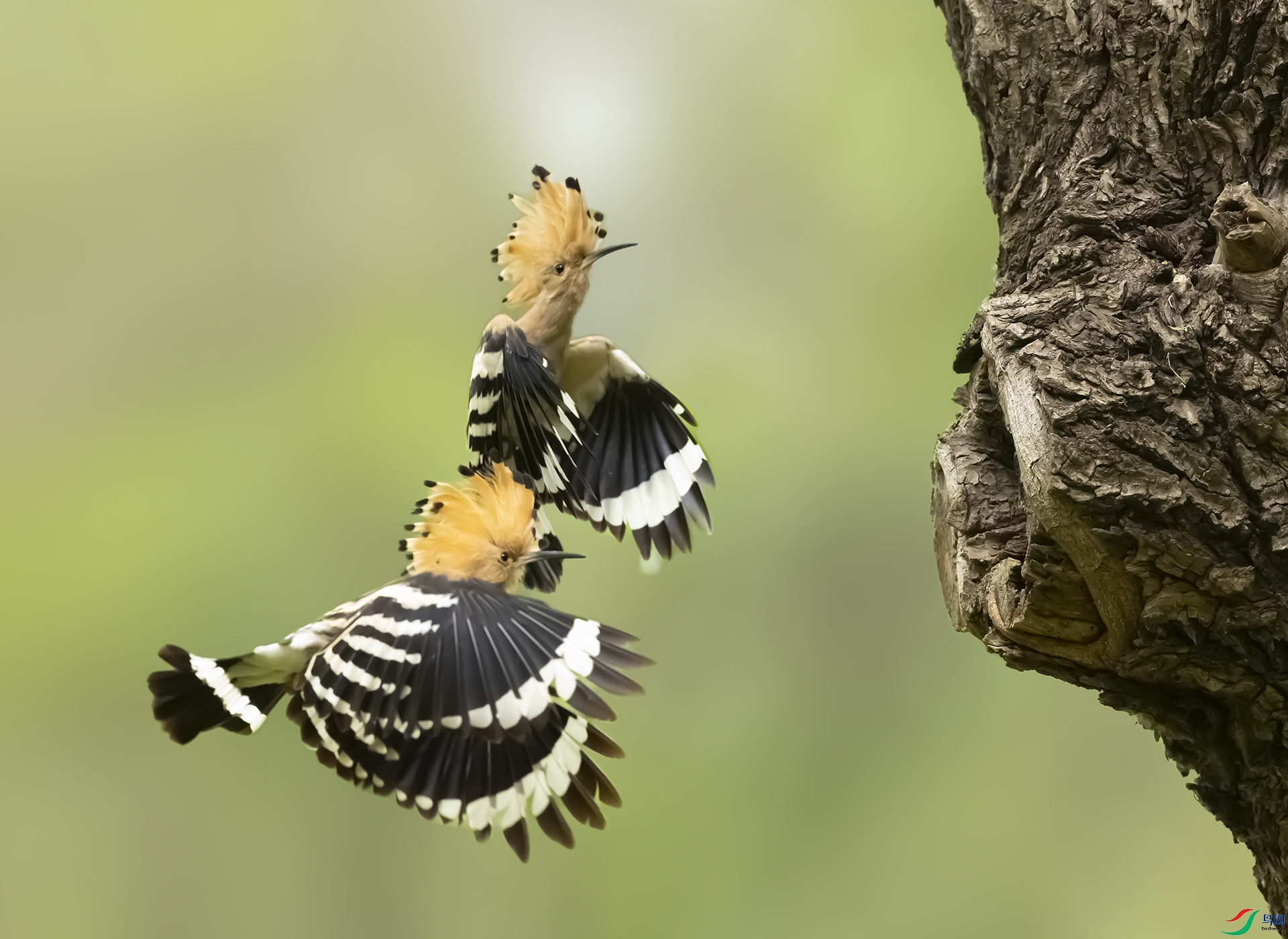 019A2122 ����.jpg