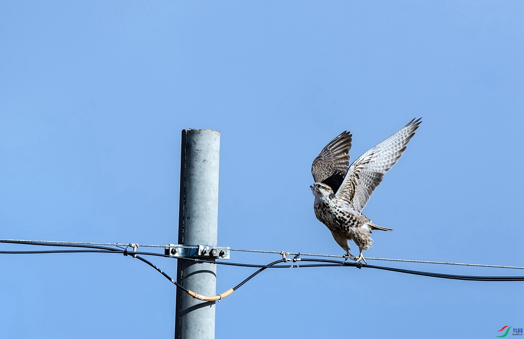 DSC_9870_����.jpg