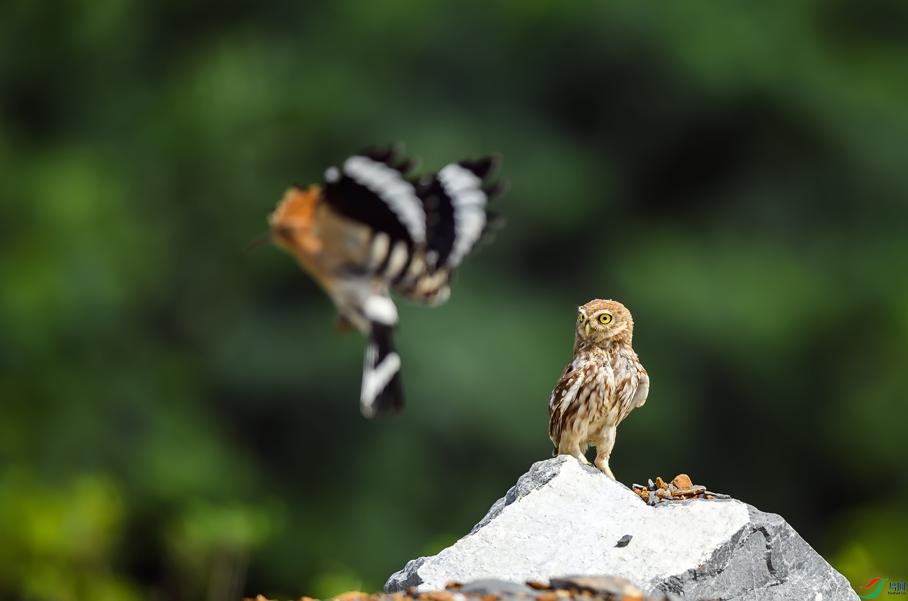 DSC_6756_����.jpg