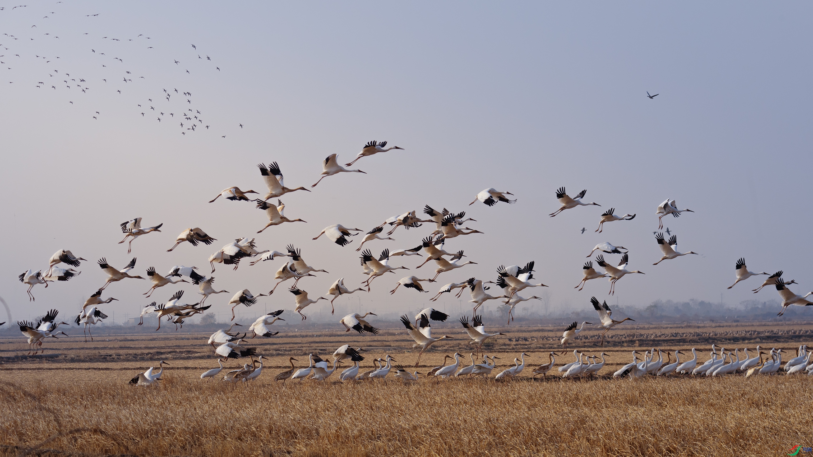 _X5A4053 ����444.jpg