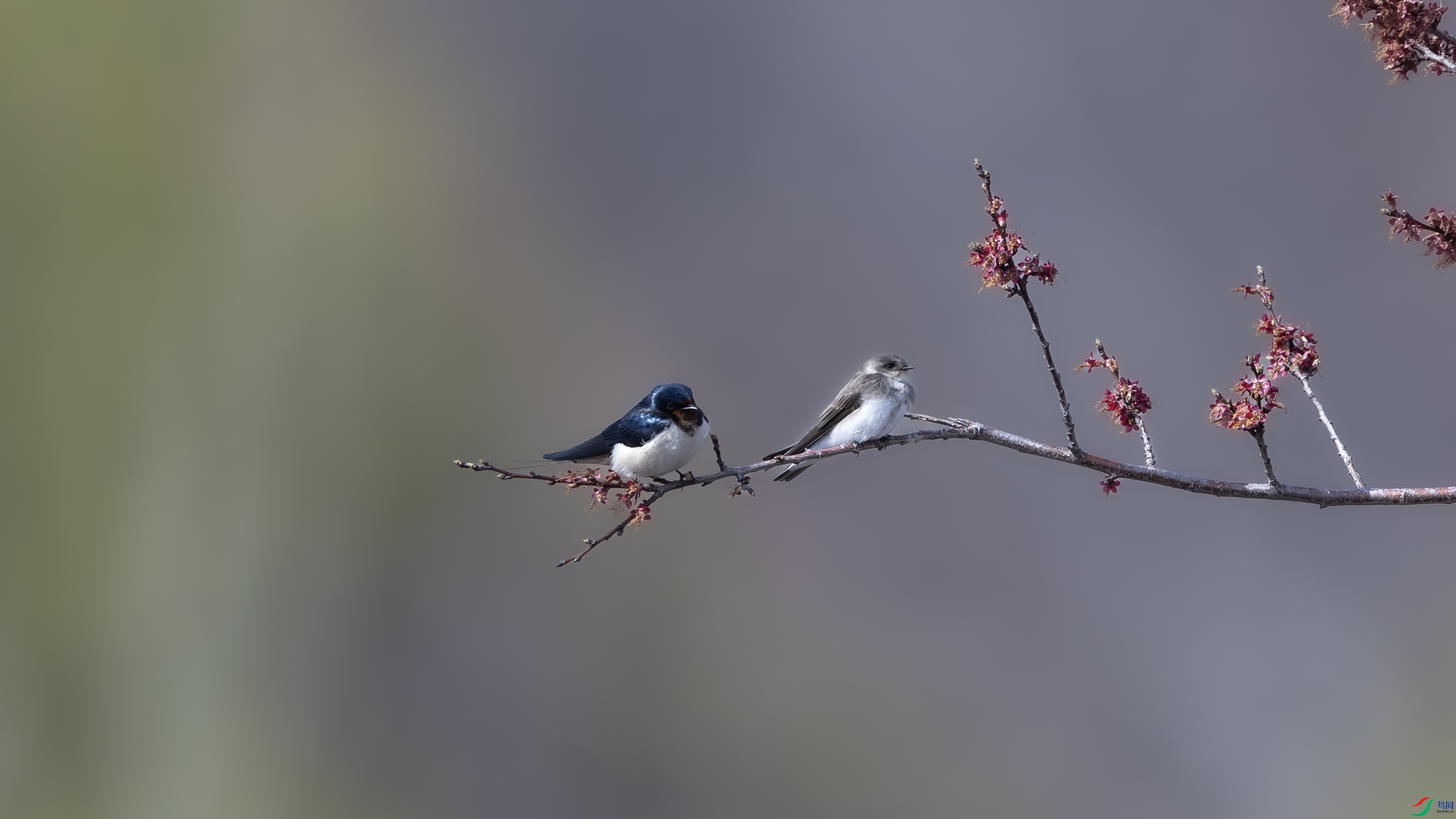 _O7A4968 ����5555.jpg