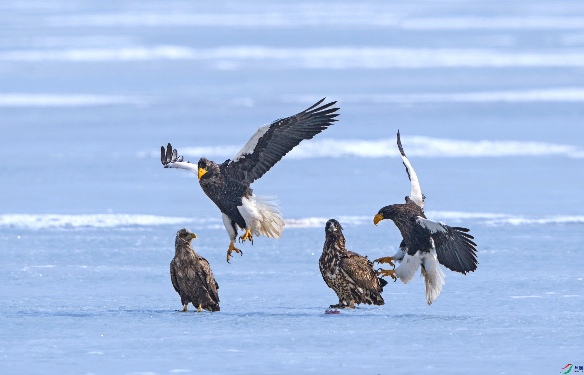 DSC_8075.jpg