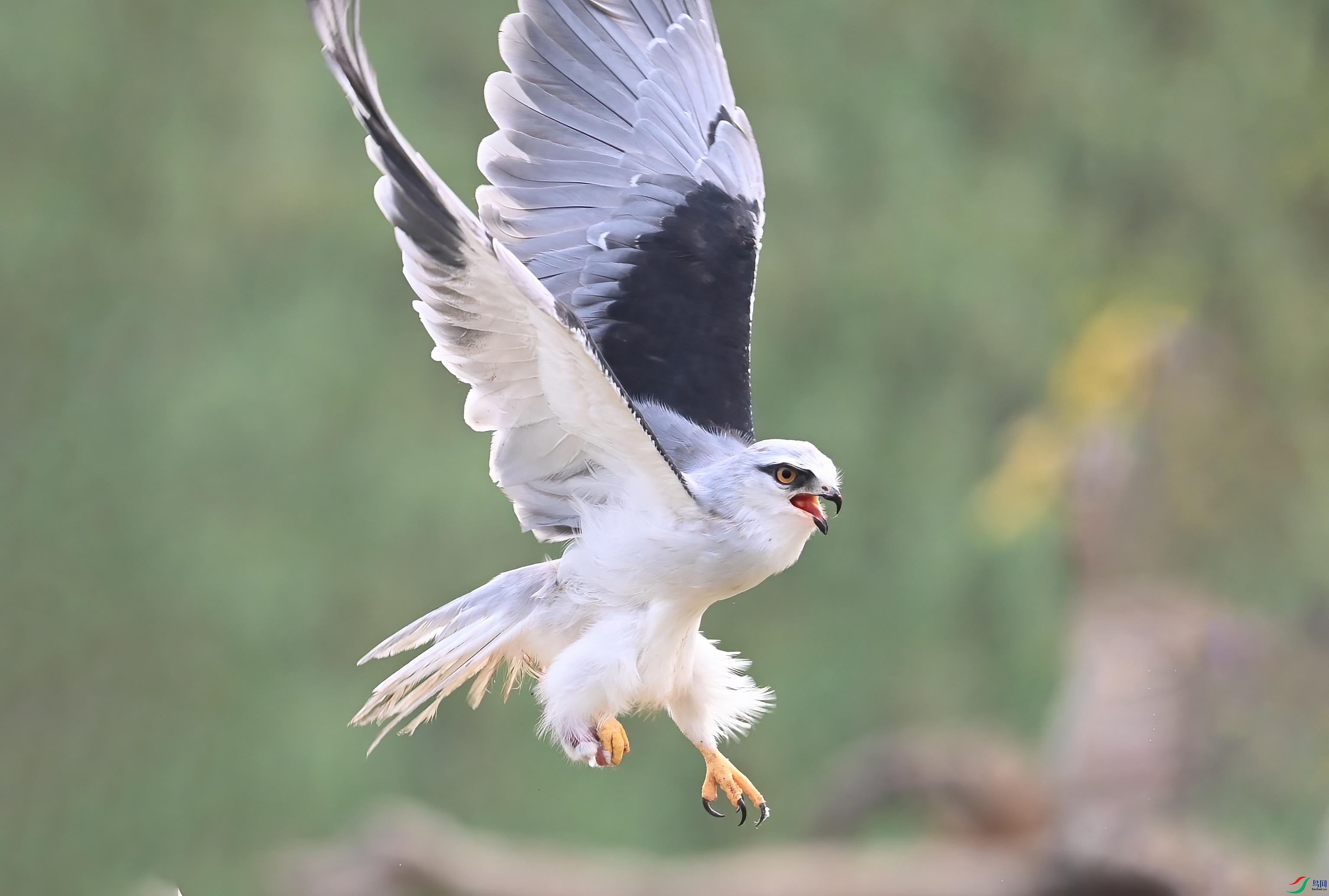 DSC_6475_���� ����_����.jpg