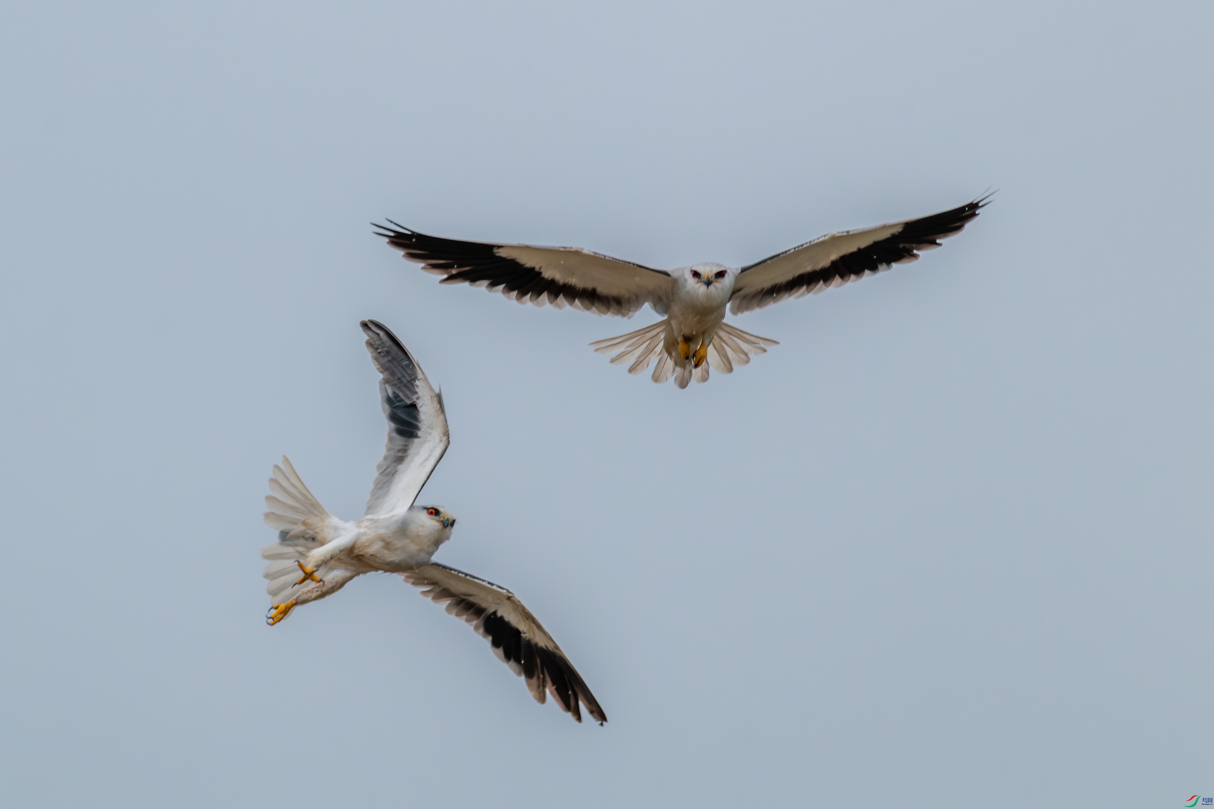 DSC_2483_1.JPG
