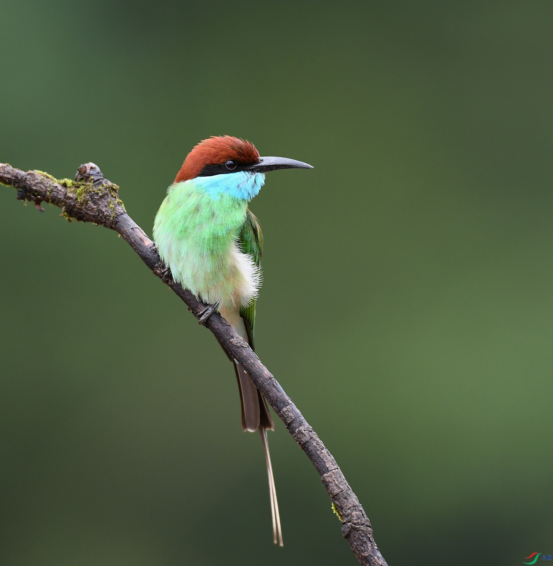 DSC_3844.jpg