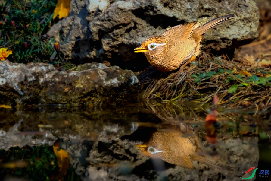 _X7A0312 ���� 2.jpg