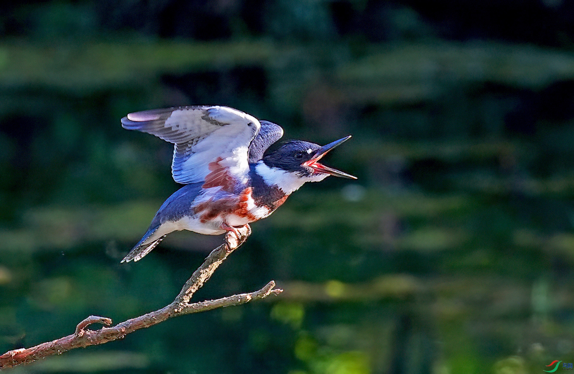 DSC08531--.jpg