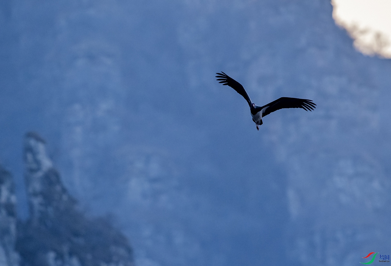 DSC_4704.jpg