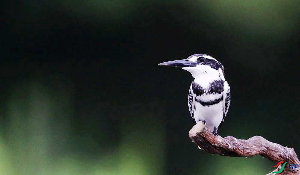 ���� ���㹷3.jpg