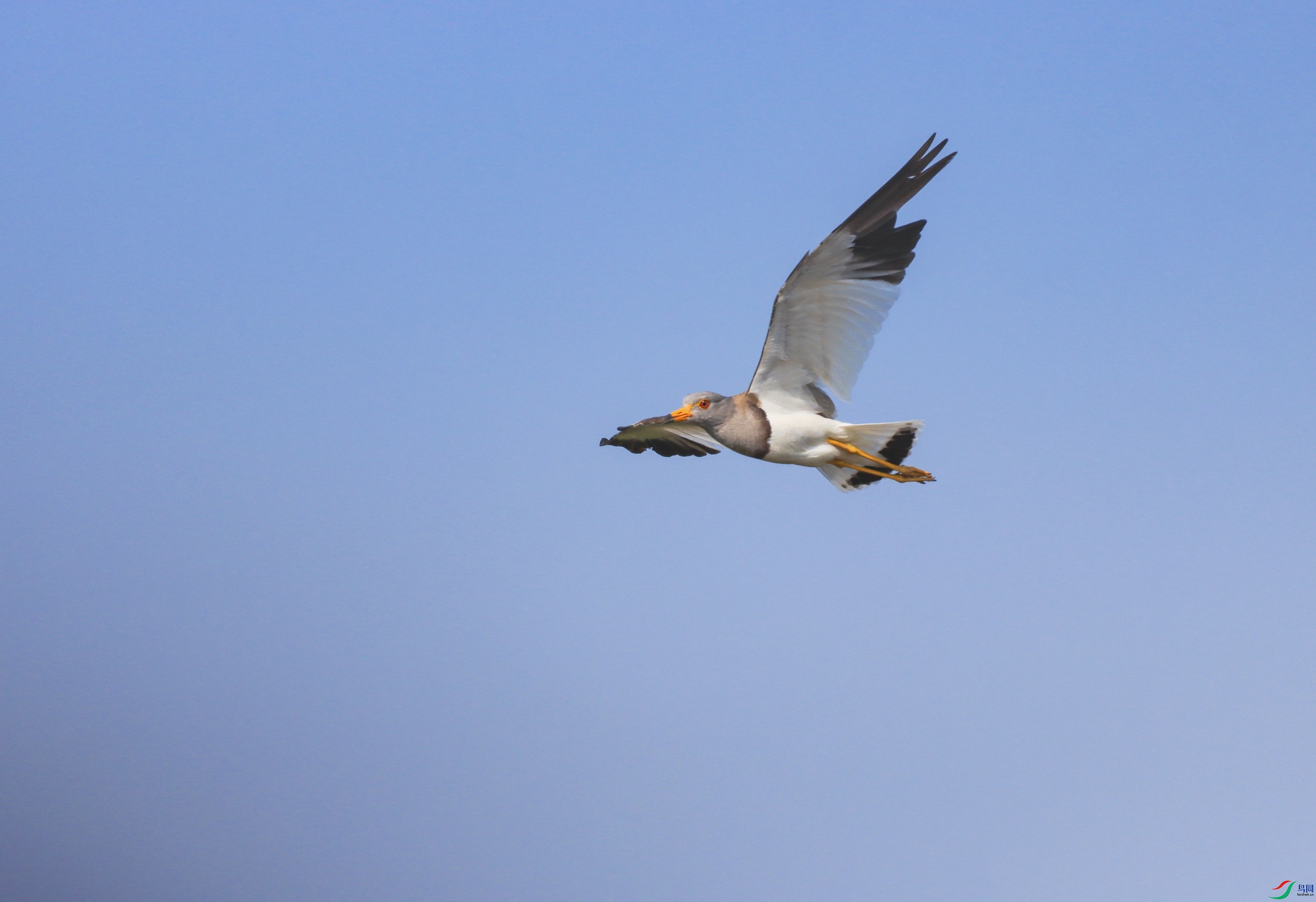 IMG_5495.jpg