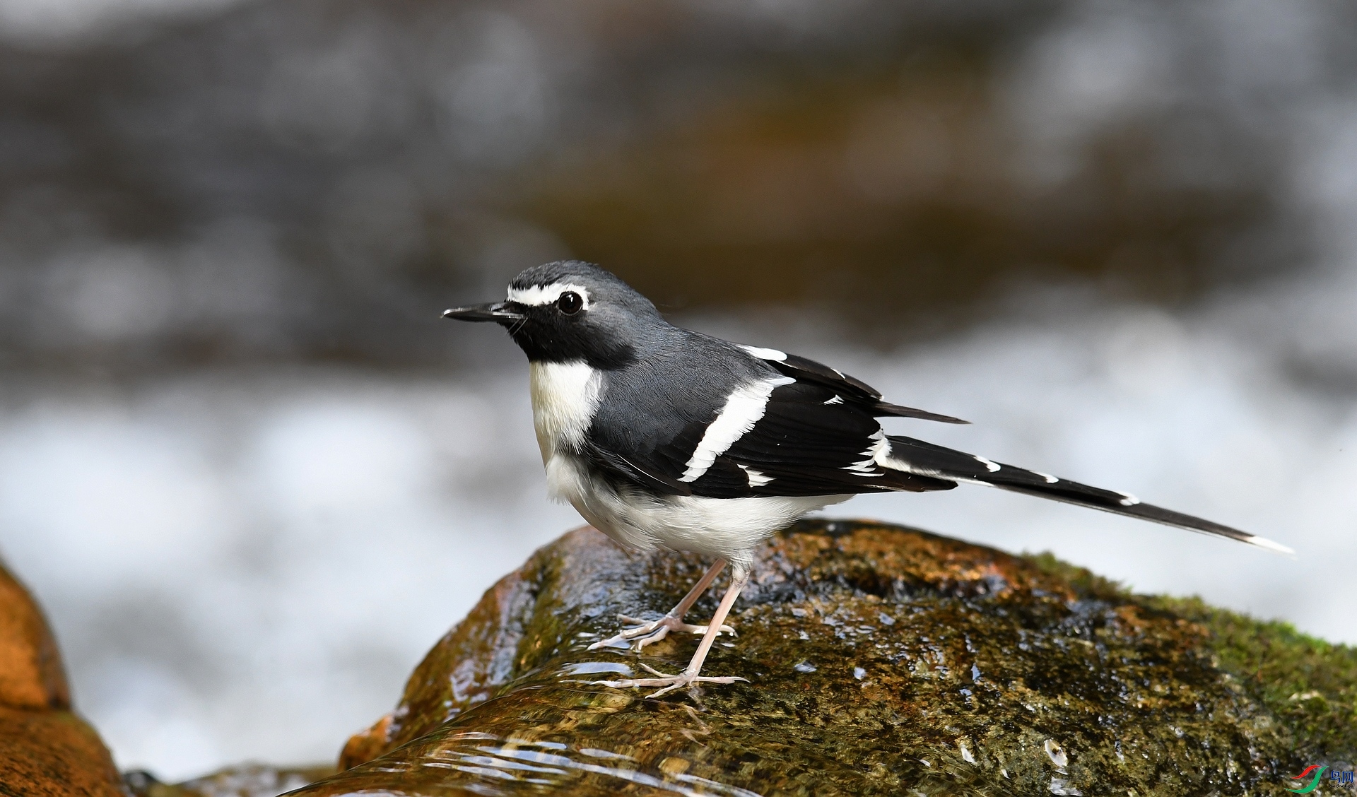 DSC_8473.jpg