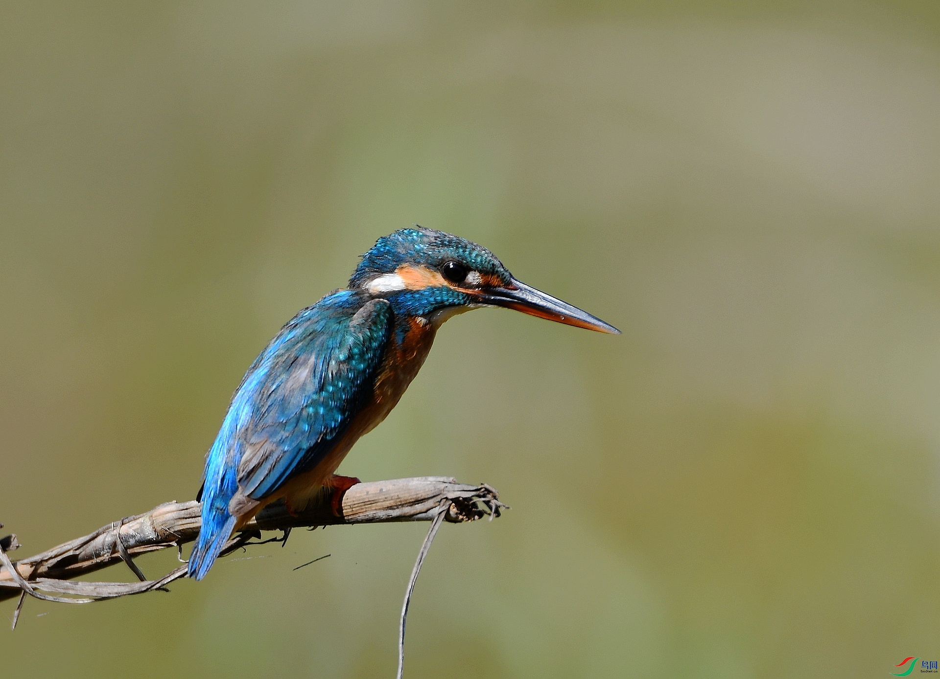 DSC_9327.jpg