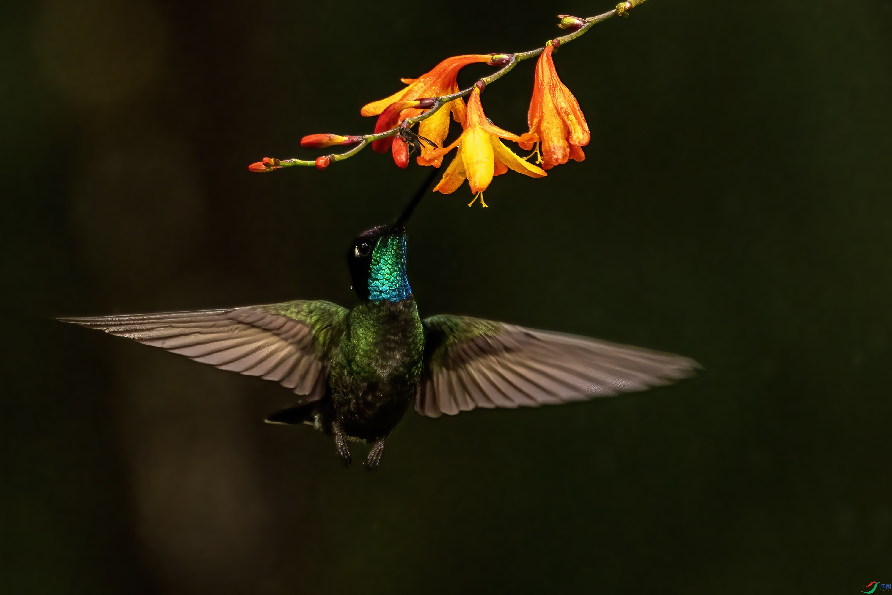 _DSC1762  ������Сͼ��.jpg