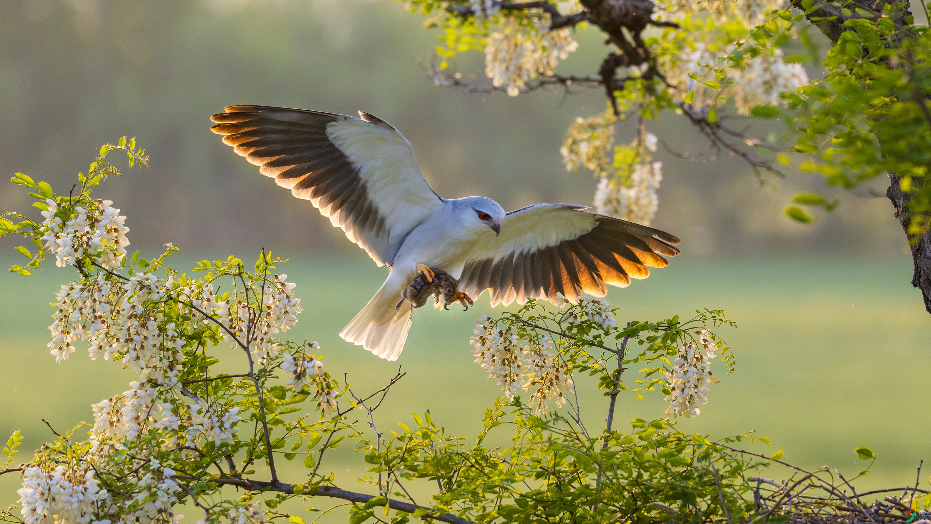 _DSC8061-����ǿ-NR ����.jpg